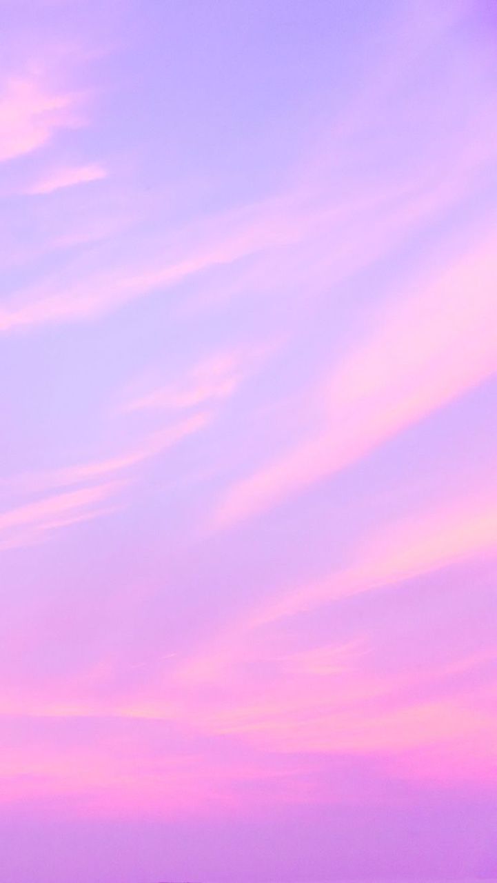 Download wallpaper 1125x2436 lilac pink close up iphone x 1125x2436 hd  background 21225