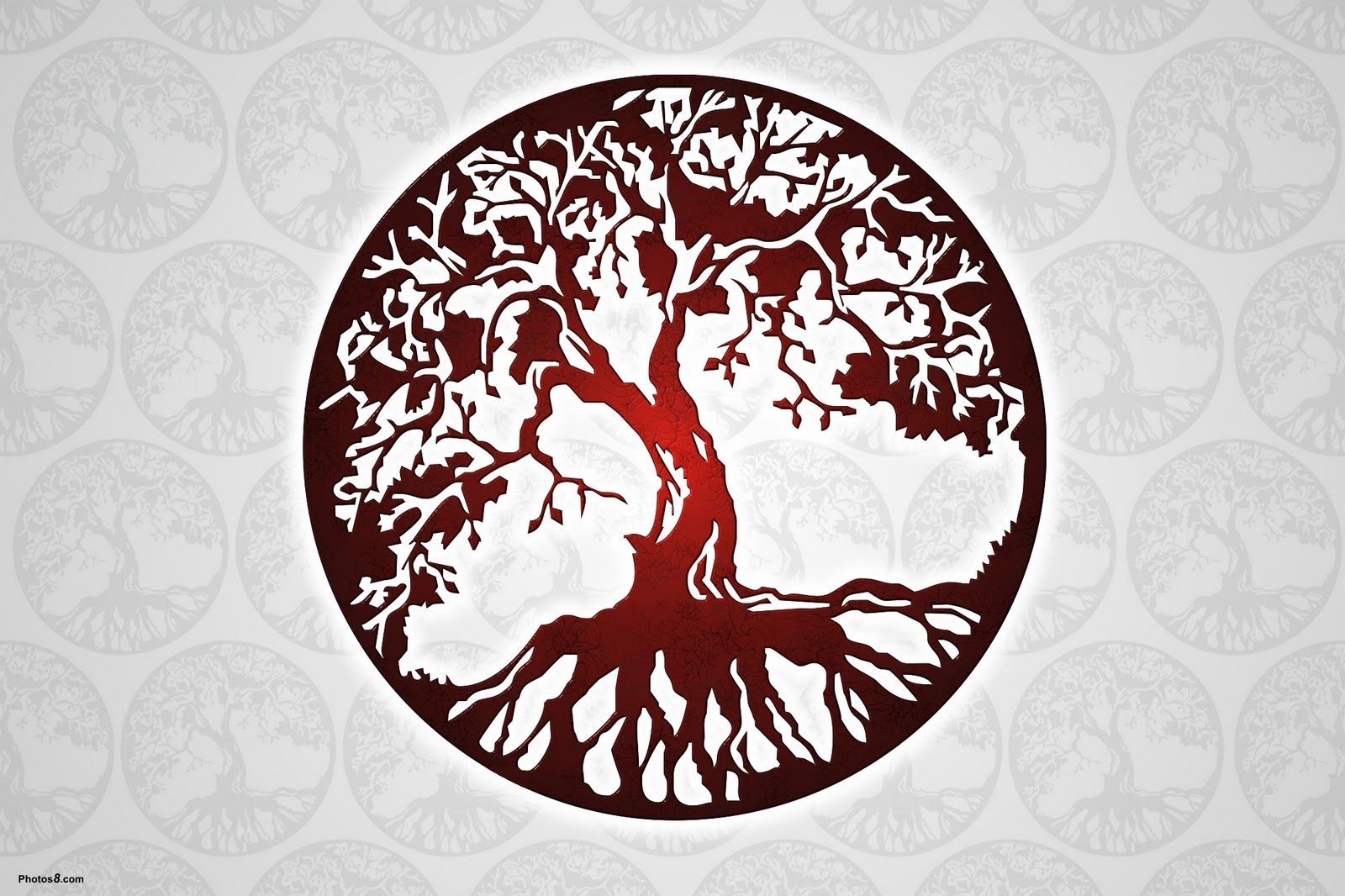 Celtic Tree of Life Wallpapers - Top Free Celtic Tree of Life Backgrounds -  WallpaperAccess