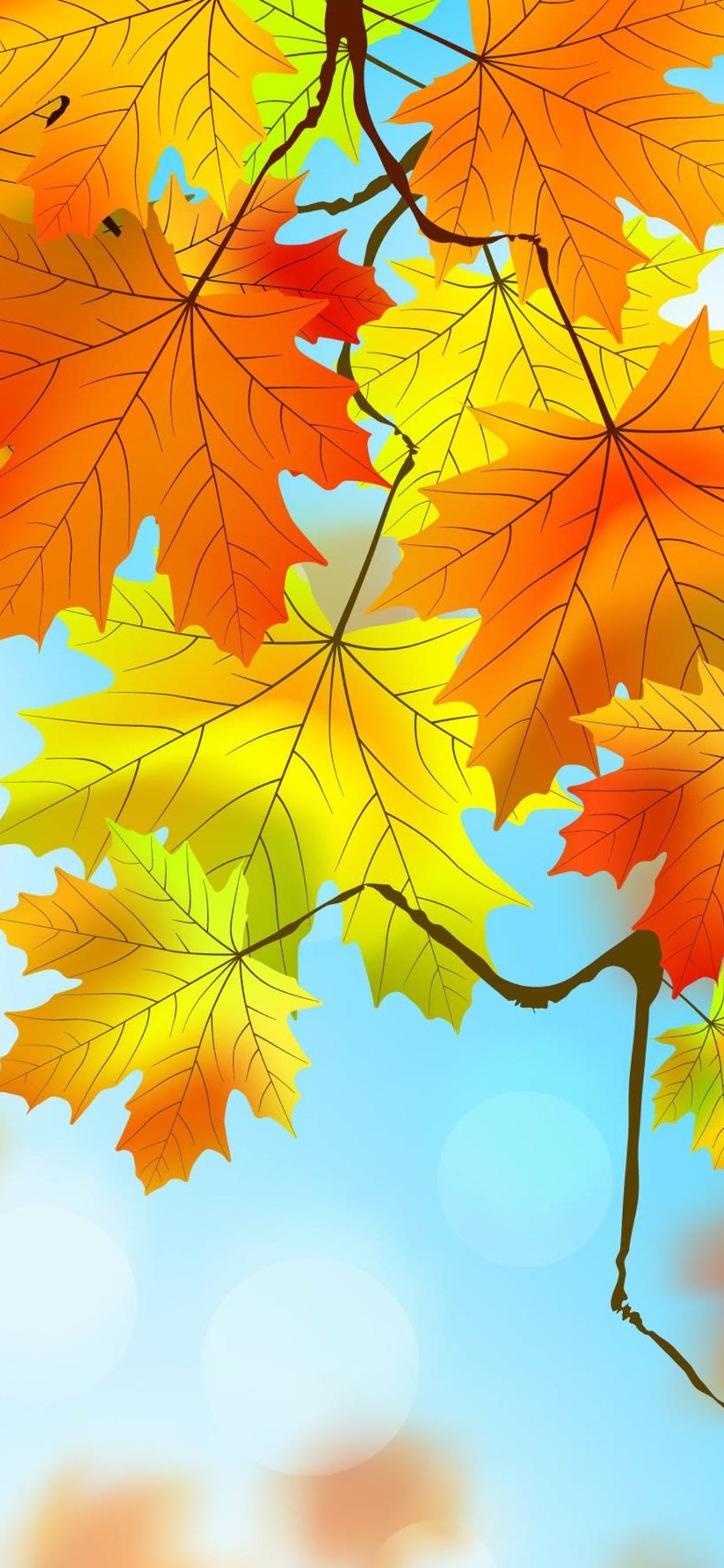 Fall Leaves iPhone Wallpapers on WallpaperDog