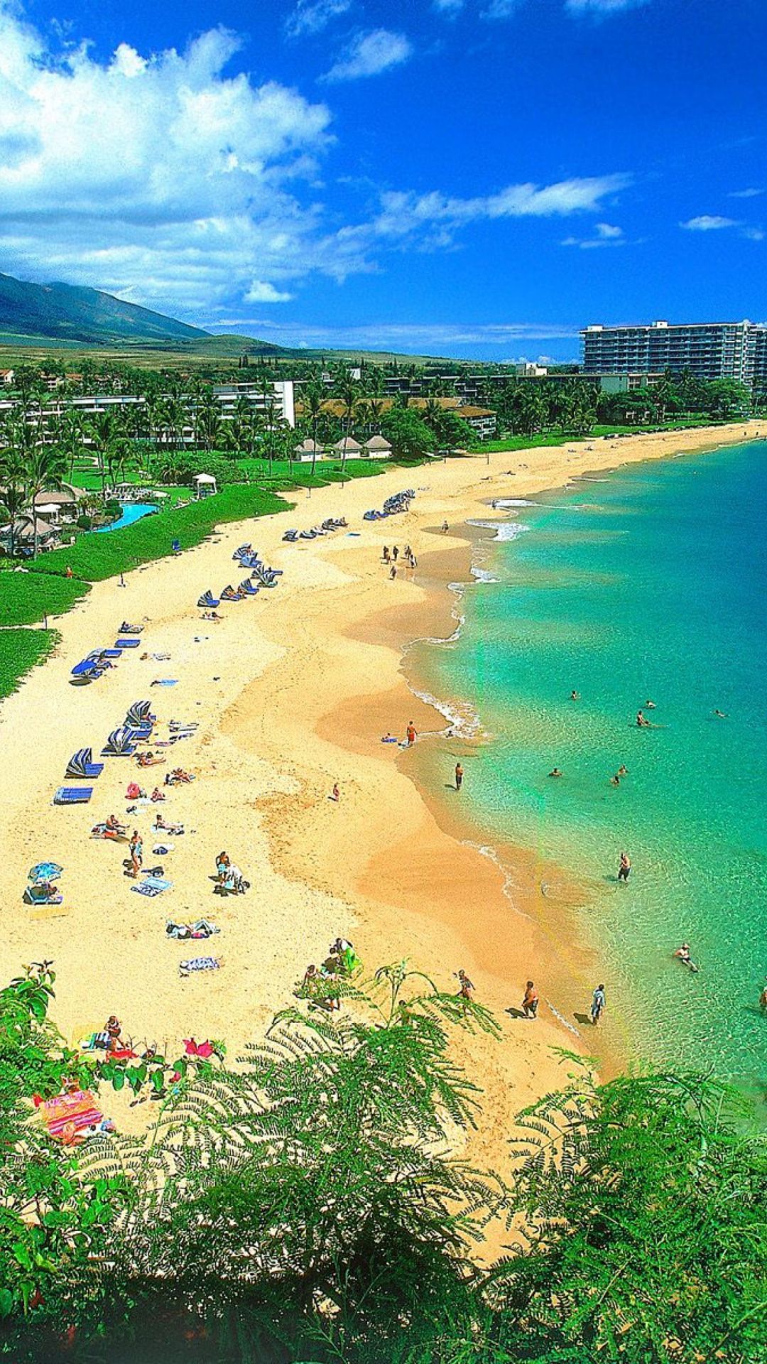 Hawaii Wallpapers Free HD Download 500 HQ  Unsplash