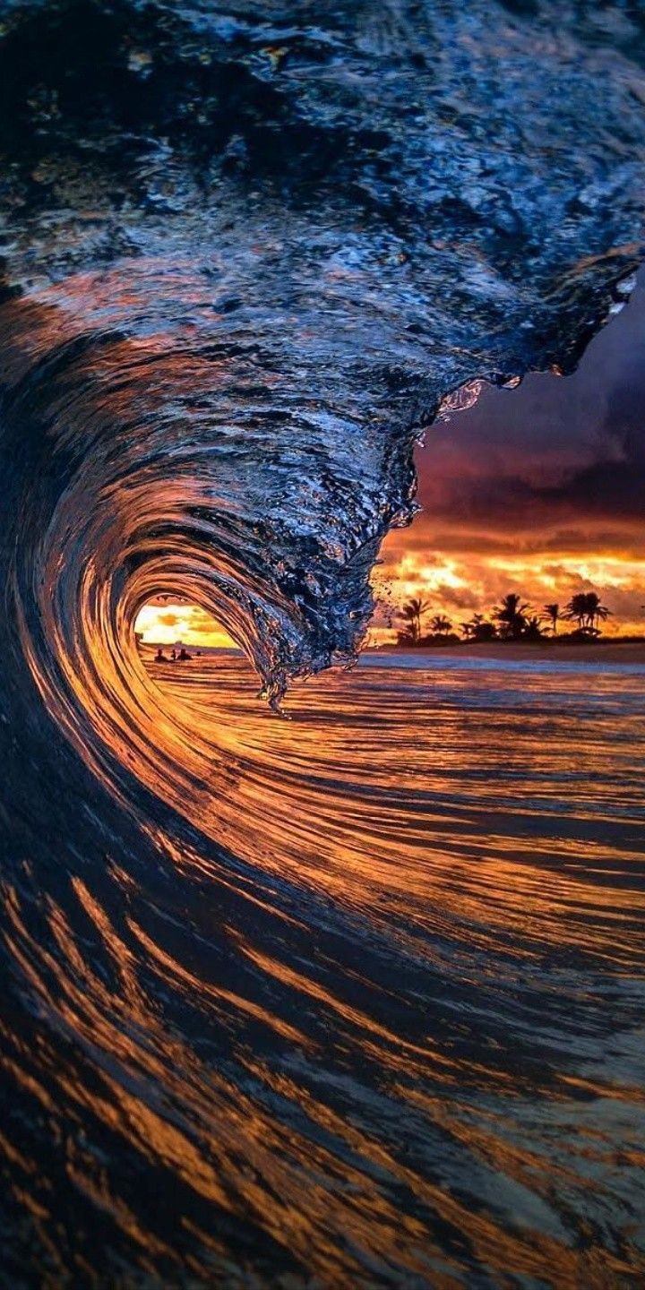 Download wallpaper 1125x2436 hawaii beach sea wave palm trees iphone x  1125x2436 hd background 9100