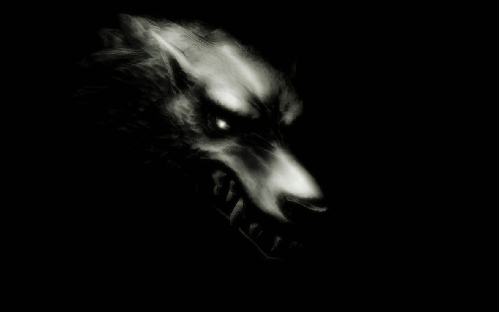 Black Wolf 3d Wallpaper Image Num 91