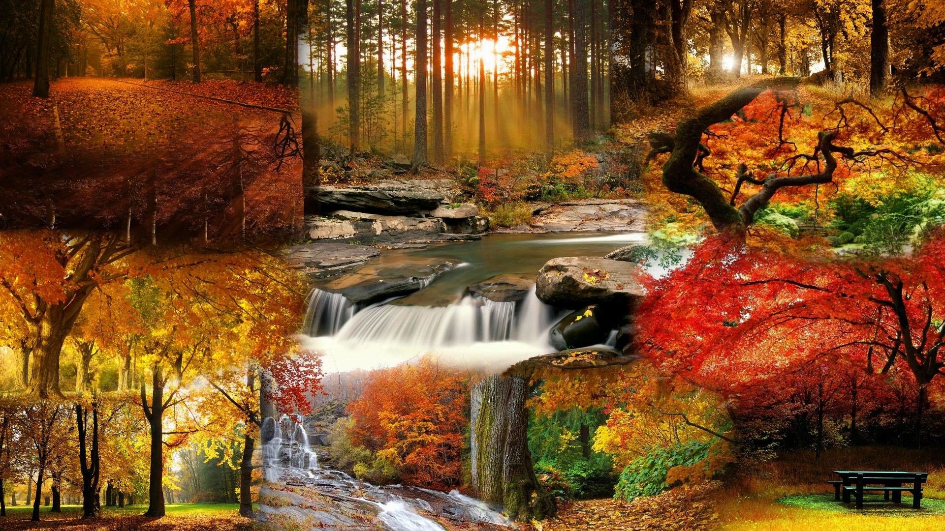 Beautiful Fall Pictures Wallpapers on WallpaperDog