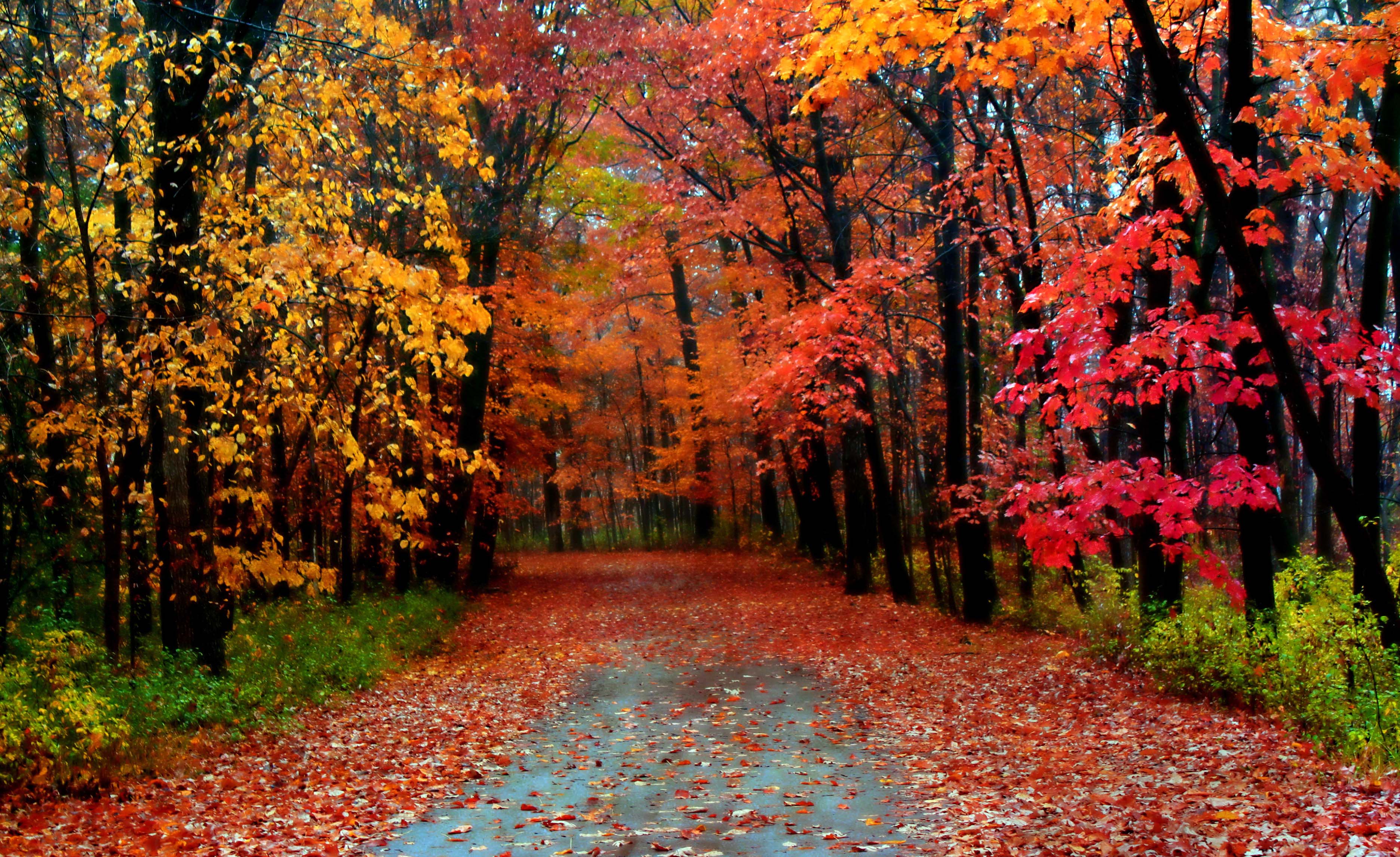 Beautiful Fall Pictures Wallpapers on WallpaperDog