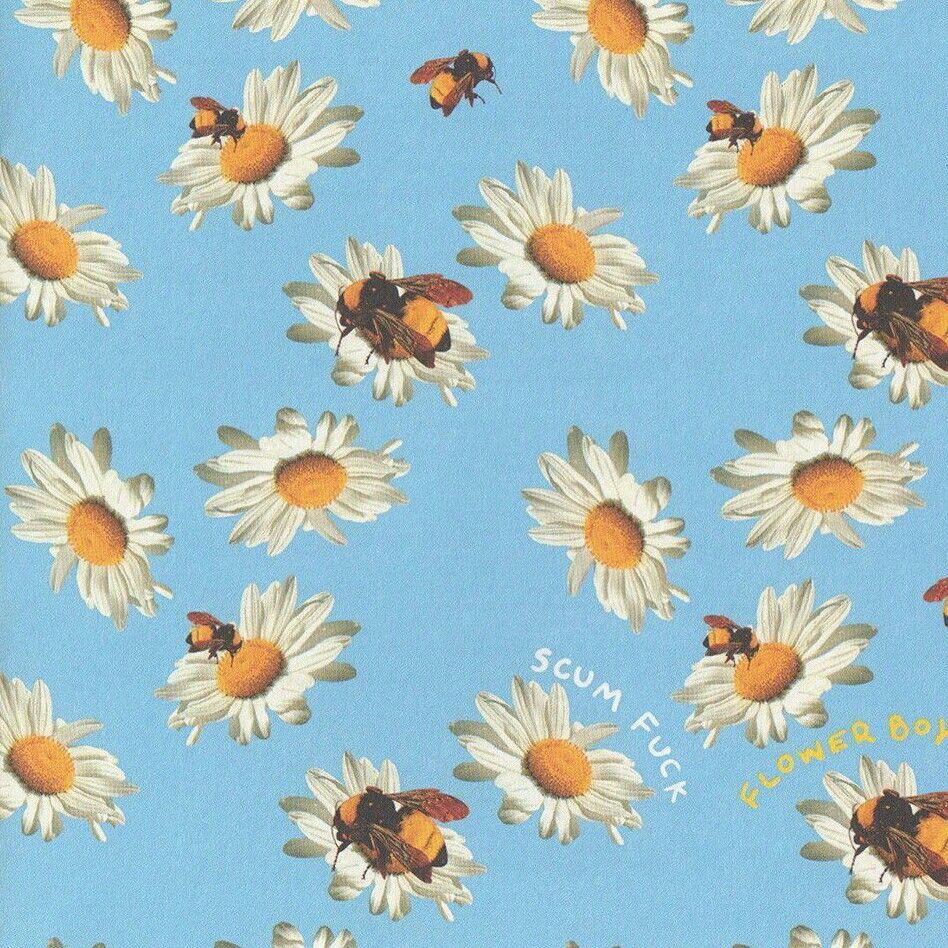 HD tyler the creator wallpapers  Peakpx