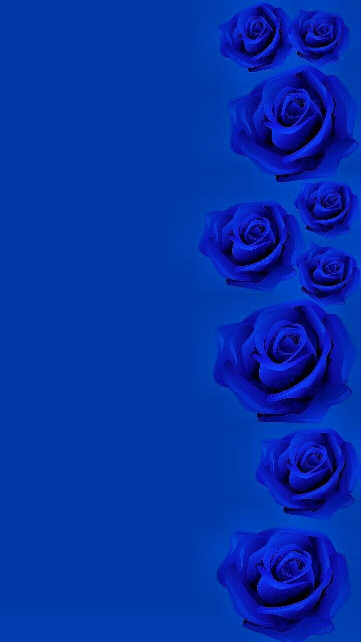 HD wallpaper Royal Blue Aero Colorful hd 1080p solid colors   Wallpaper Flare
