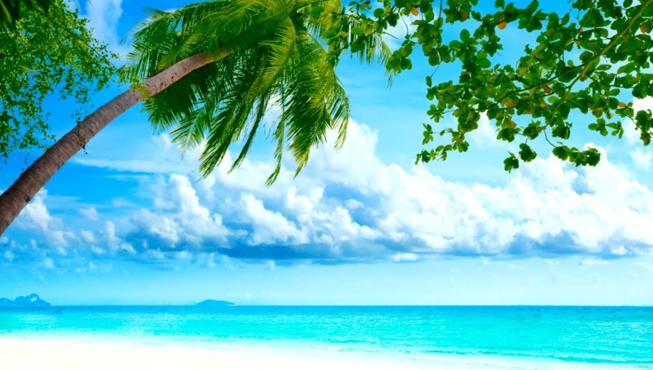 Colorful Tropical Beaches Desktop Wallpapers On Wallpaperdog
