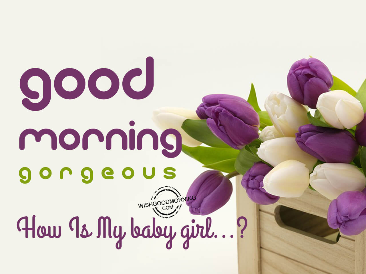 Good morning sir can i. Good morning. Good morning цветы. Гуд Монинг девушка. Good morning gorgeous.