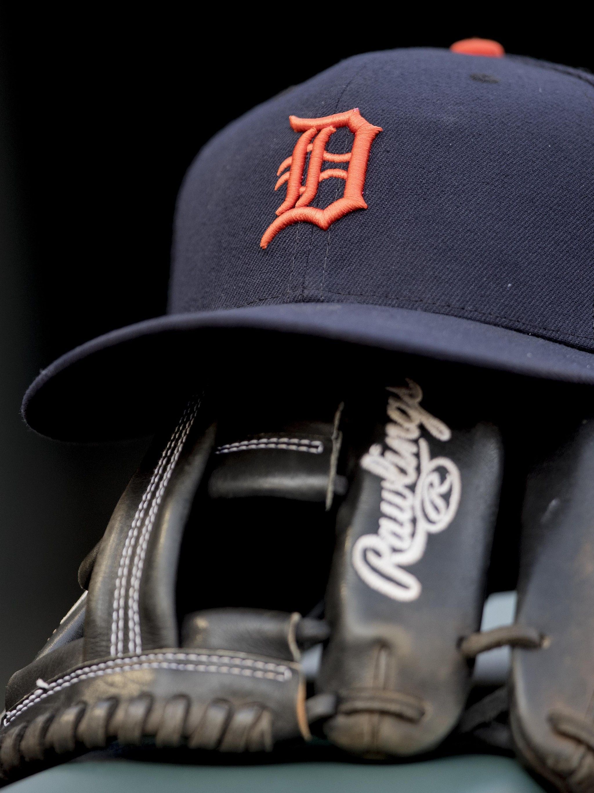 Download Paws Cap With A Detroit Tigers Logo Wallpaper  Wallpaperscom