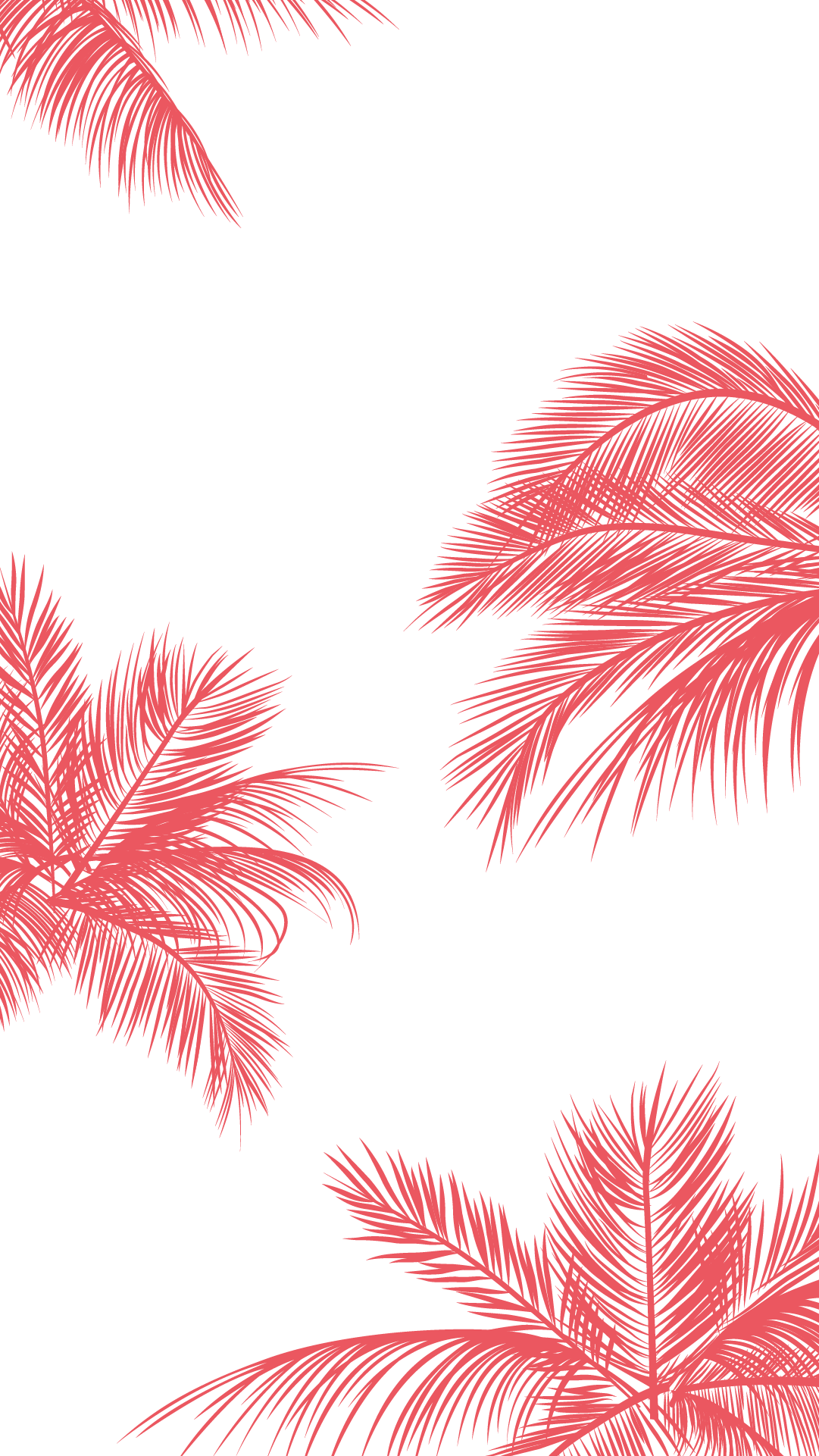 Cute Palm Tree Wallpapers on WallpaperDog