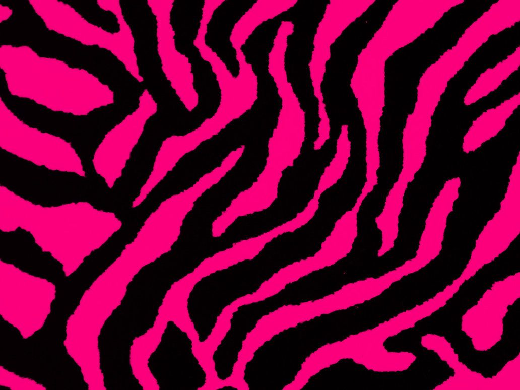 Hot Pink Zebra Wallpapers on WallpaperDog