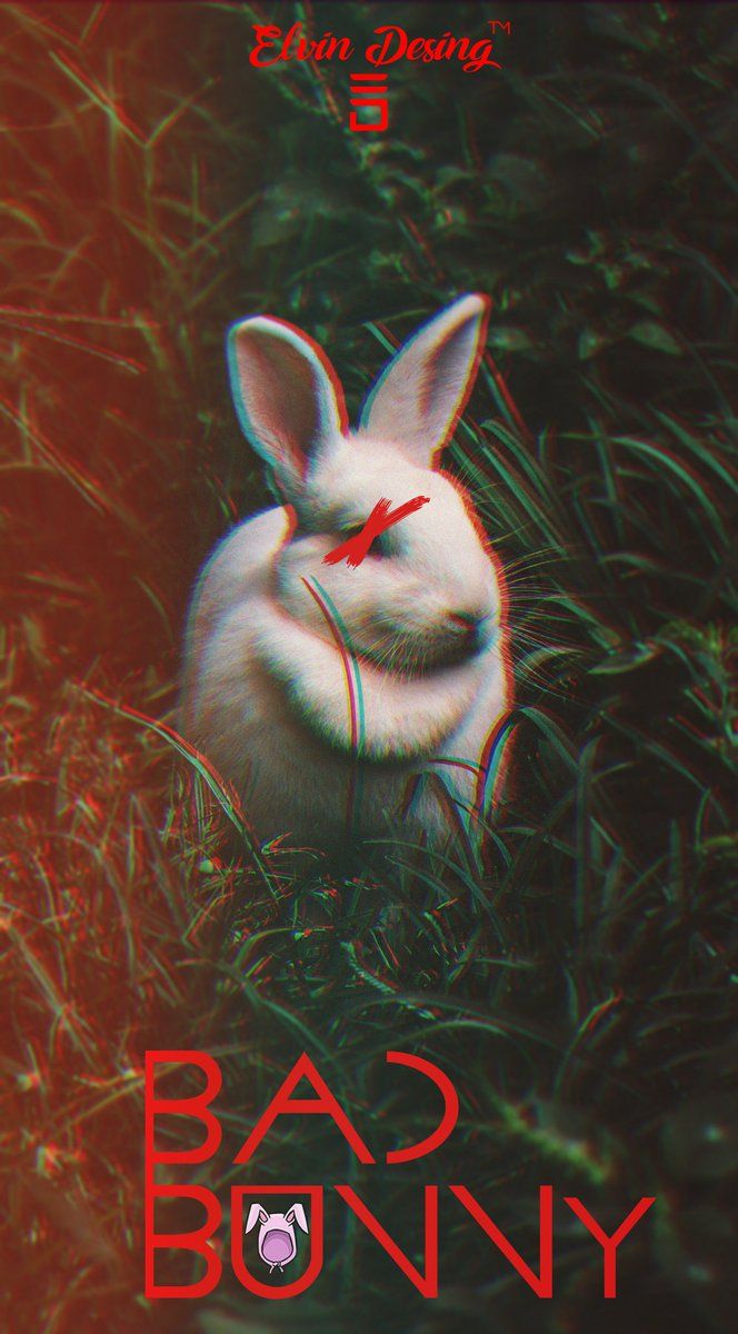 Bad Bunny Supreme Wallpapers On Wallpaperdog