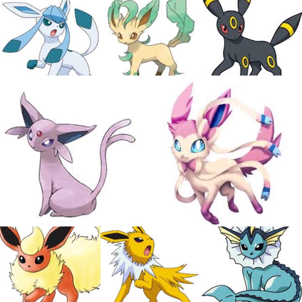 eevee evolutions with sylveon wallpapers on wallpaperdog