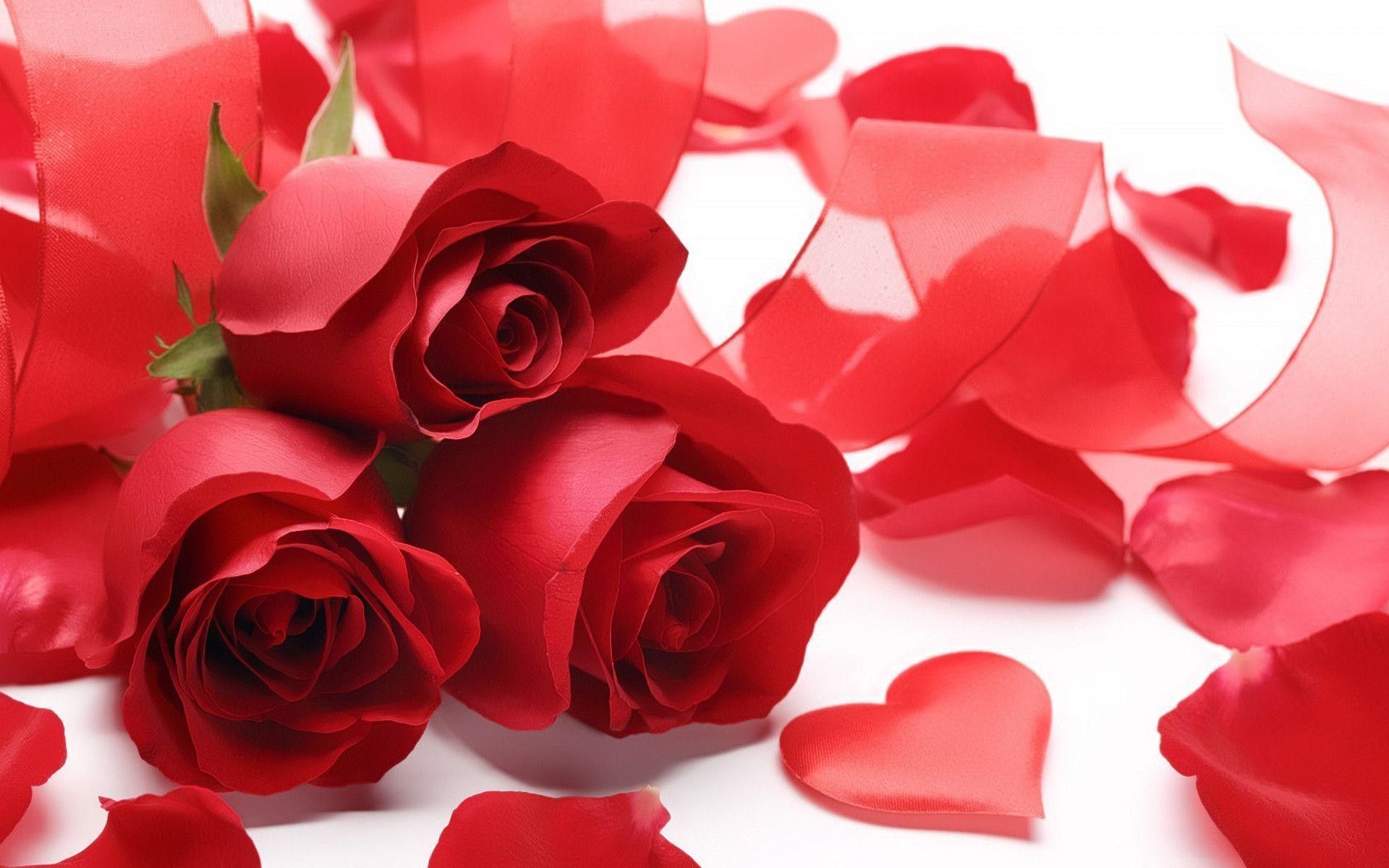 Heart Red Roses Wallpapers on WallpaperDog