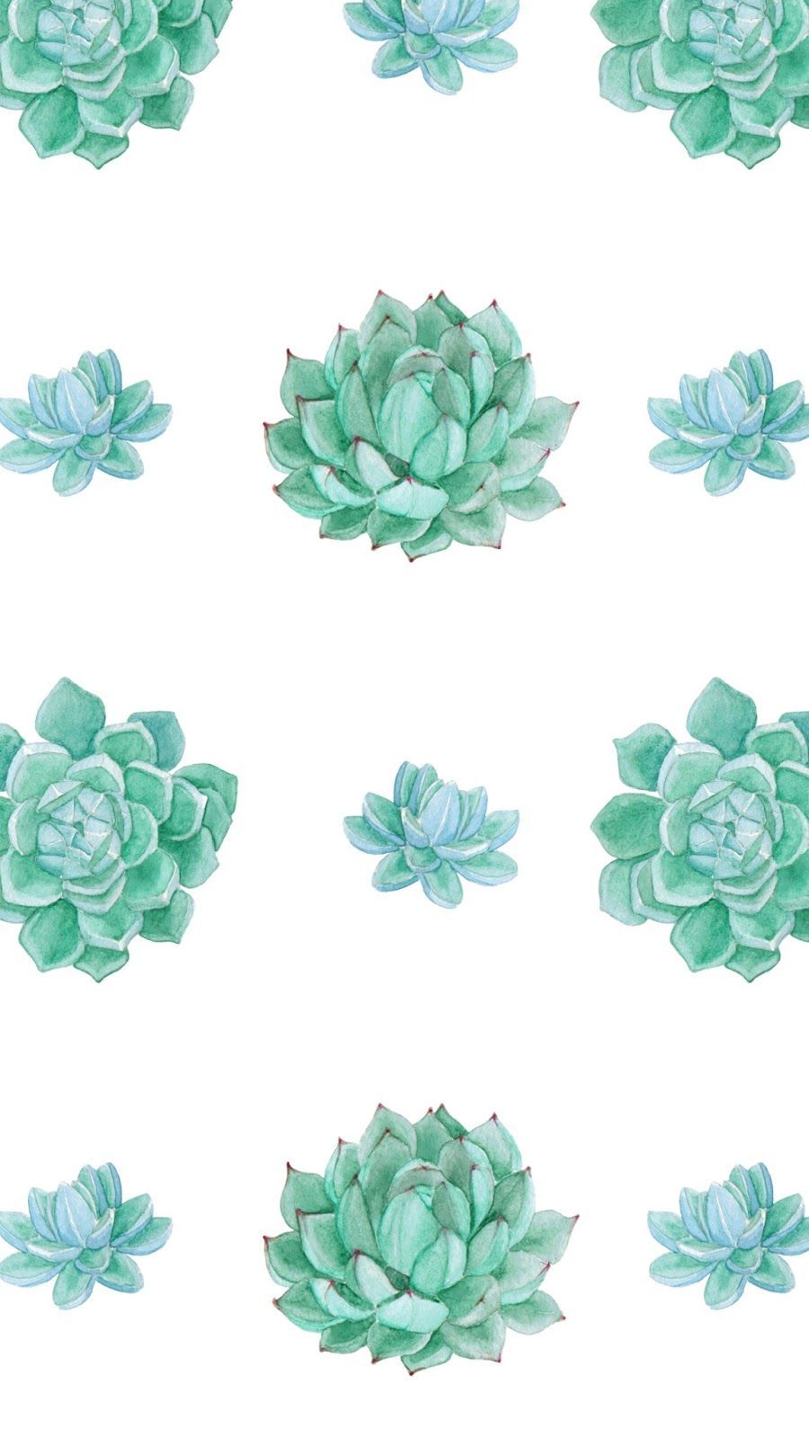Succulents Wallpaper  Stunning Cactus Design  Milton  King