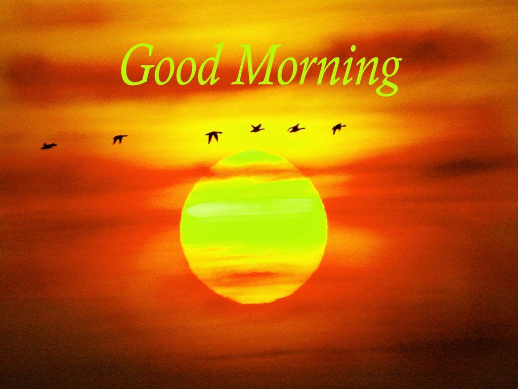 Sunrise Bird Good Morning Quotes Wallpaper 05858 - Baltana