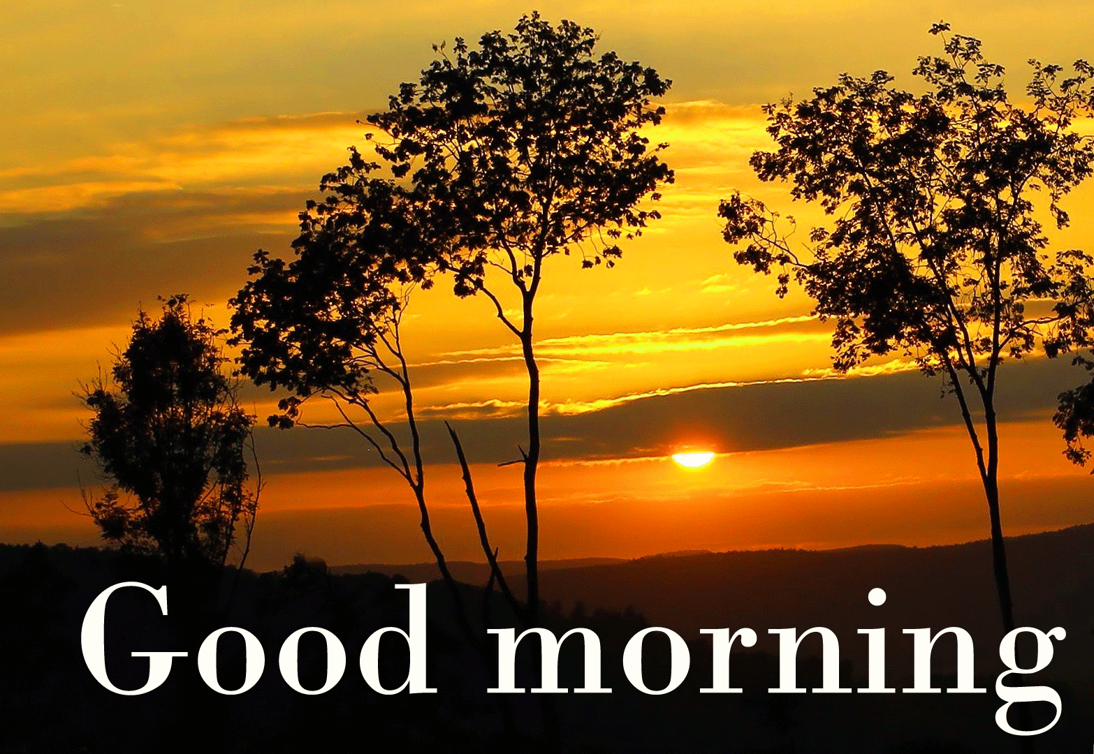 Good Morning Sun Rise HD Wallpaper | wallpaperspick.com