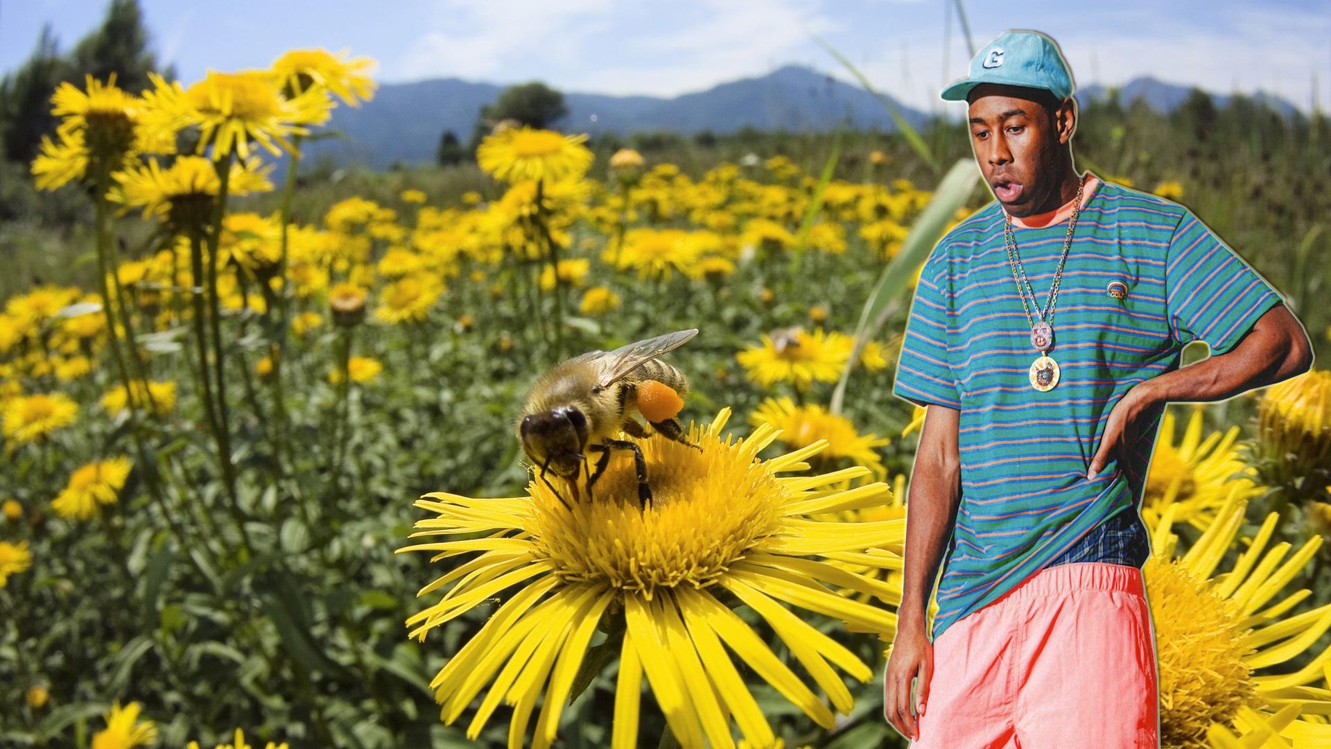 I made a Tyler the Creator Wallpaper
