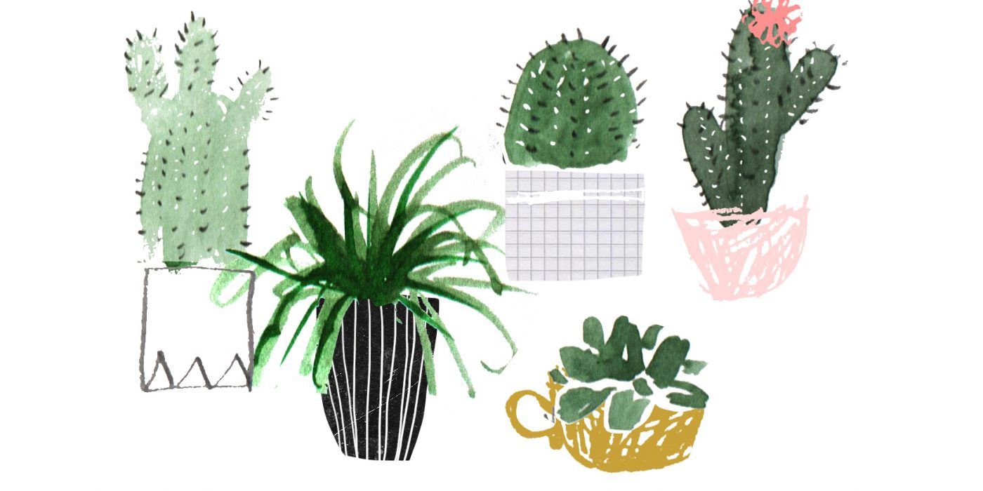 Cute plants aesthetic cacti plant pot vsco HD phone wallpaper  Peakpx