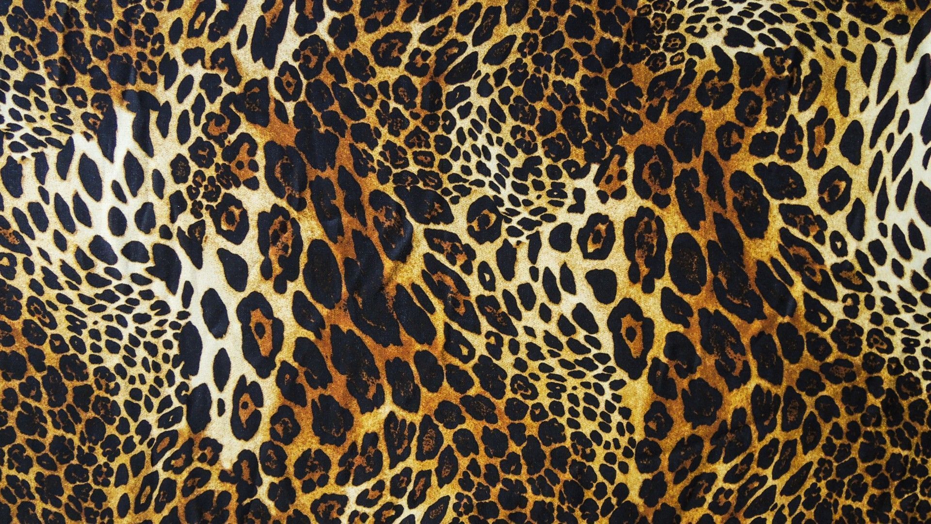 Leopard Print Computer Wallpapers on WallpaperDog