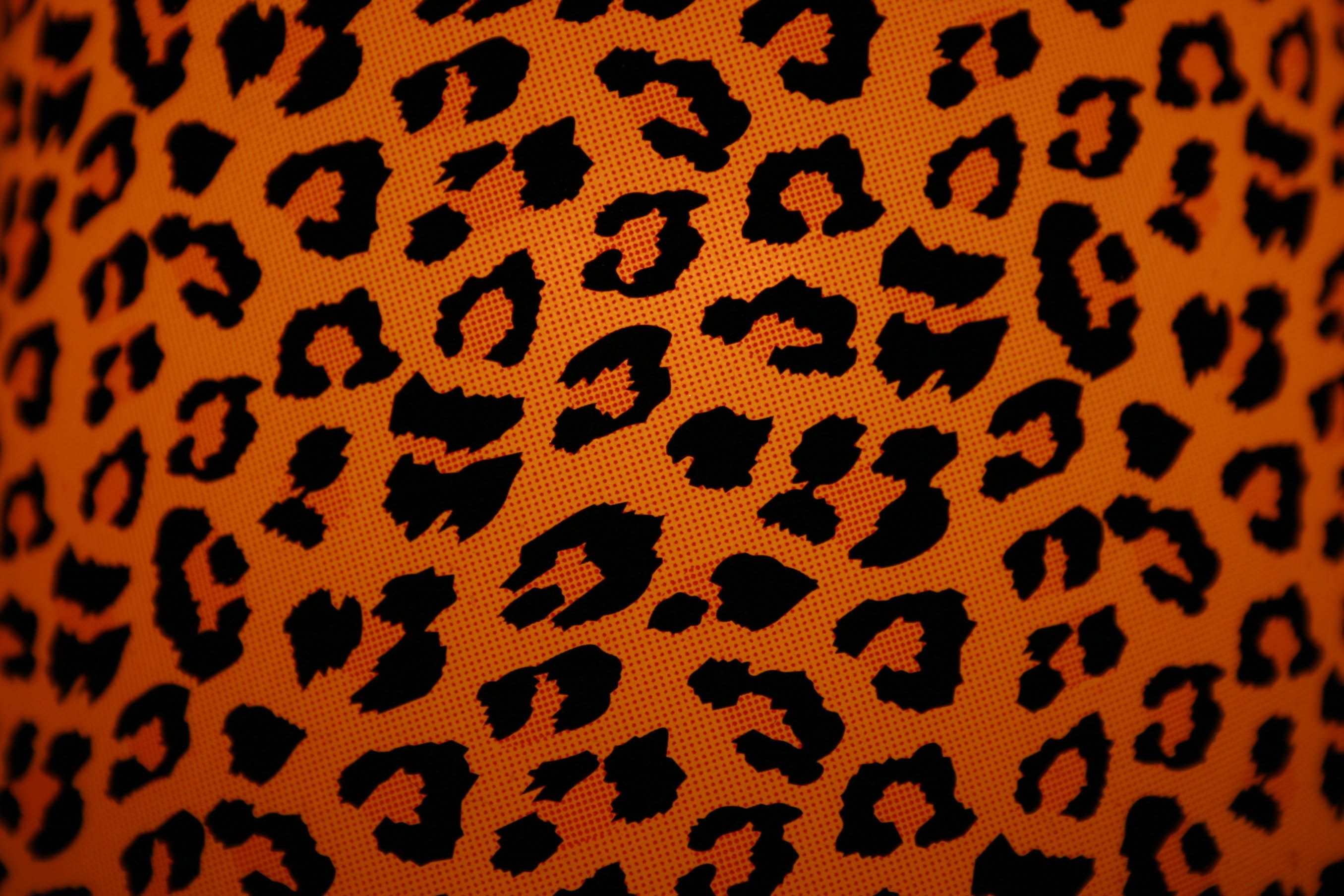 Premium Vector  Jaguar and leopard watercolor vector, illustrator