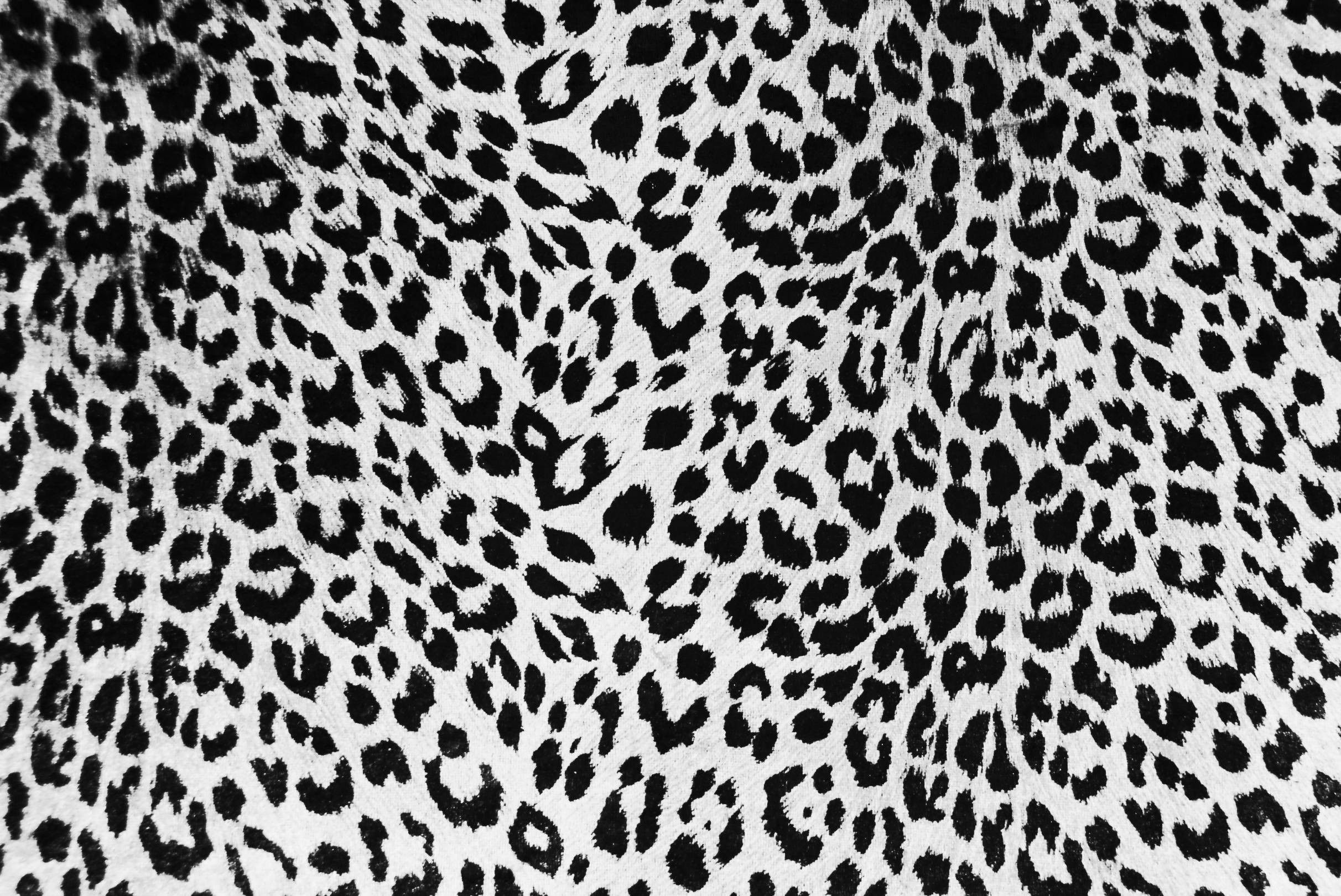 Natural Cheetah Fabric Wallpaper and Home Decor  Spoonflower