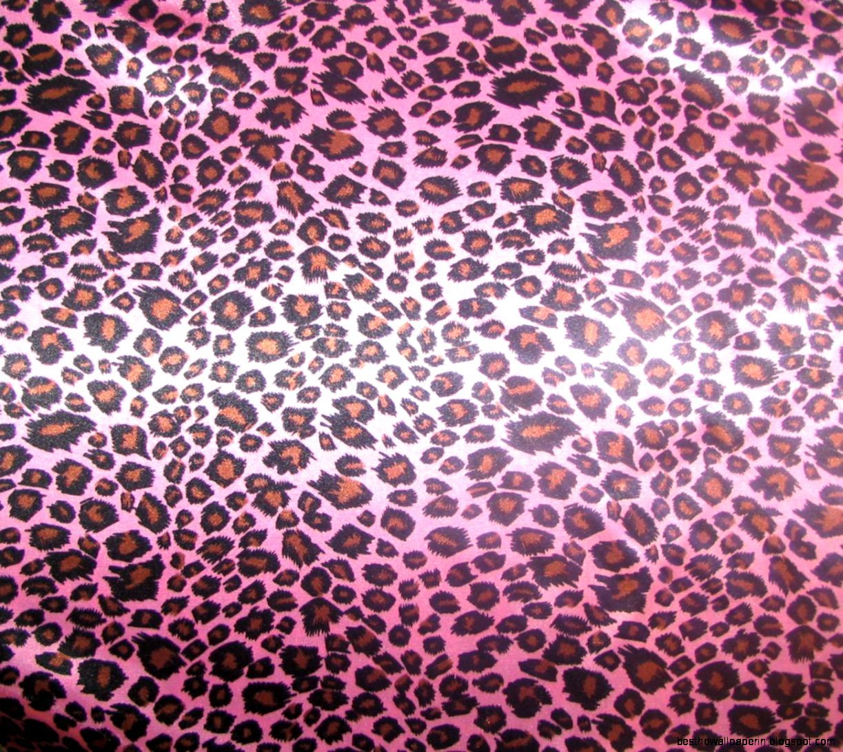 Leopard Print Computer Wallpapers on WallpaperDog