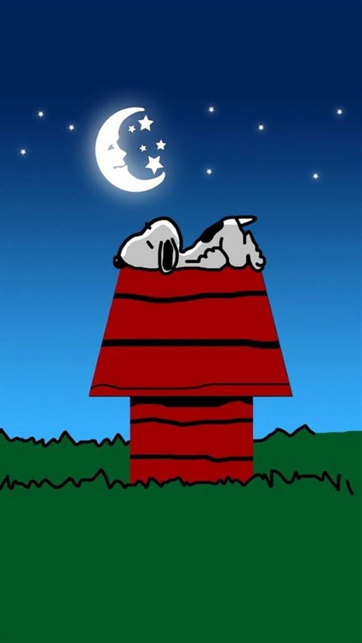 Snoopy Good Night Wallpapers on WallpaperDog
