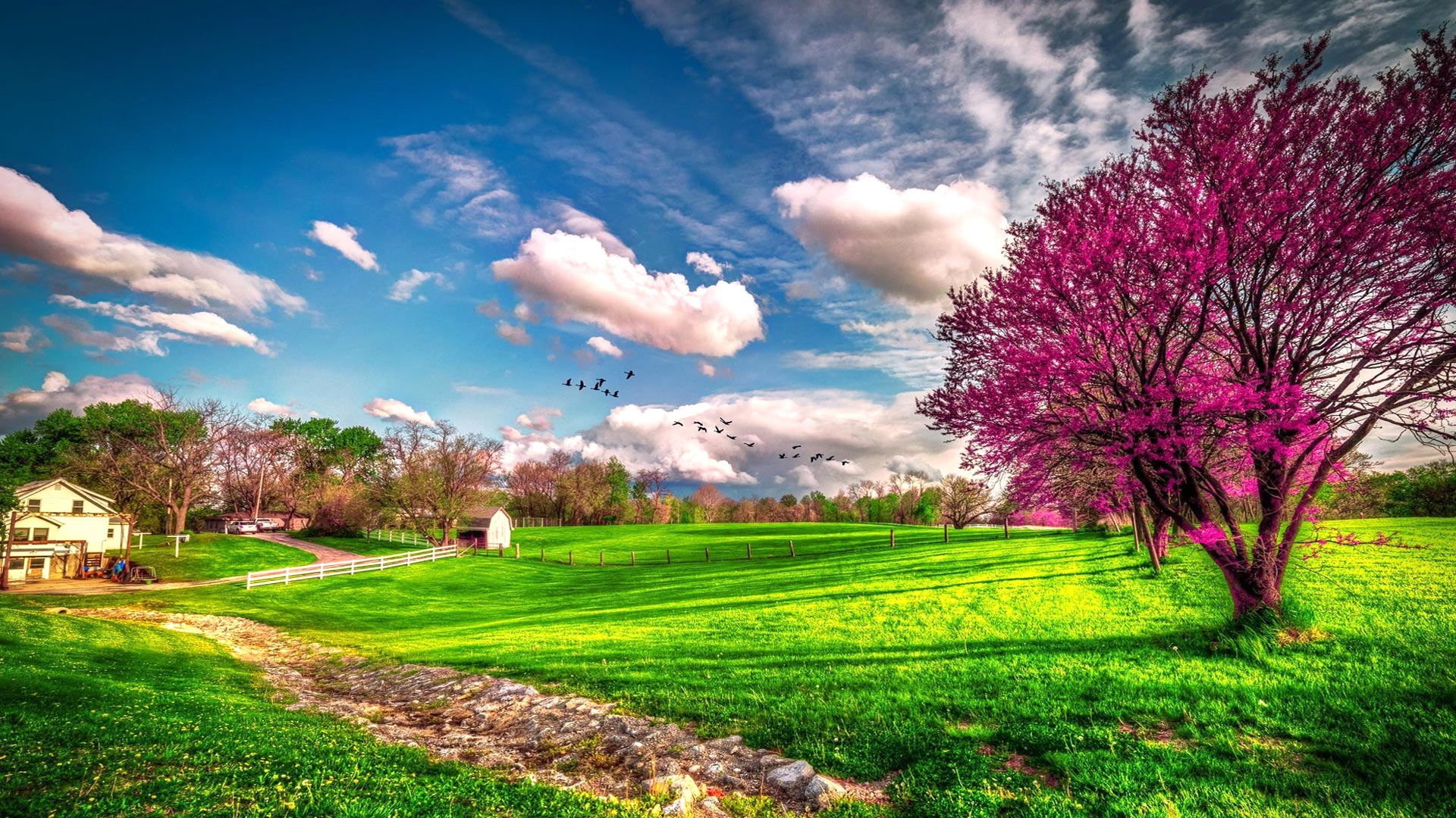 Most Beautiful Spring Wallpapers on WallpaperDog