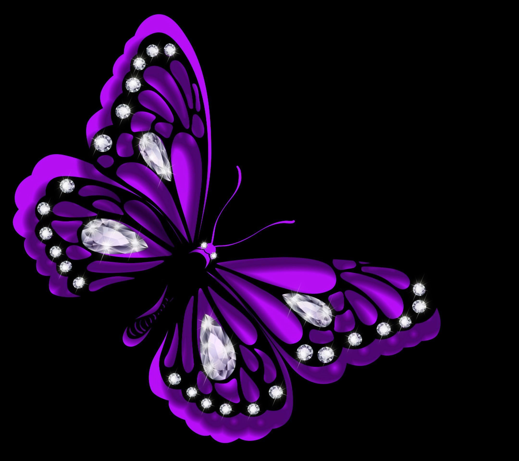 purple and black butterfly background