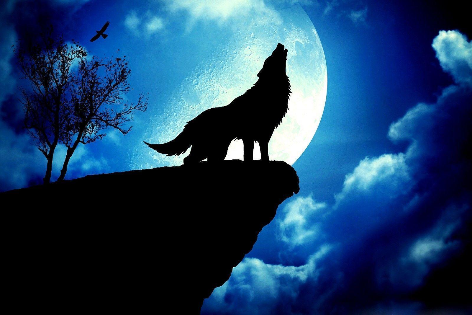 Red Moon Wolf Wallpapers on WallpaperDog