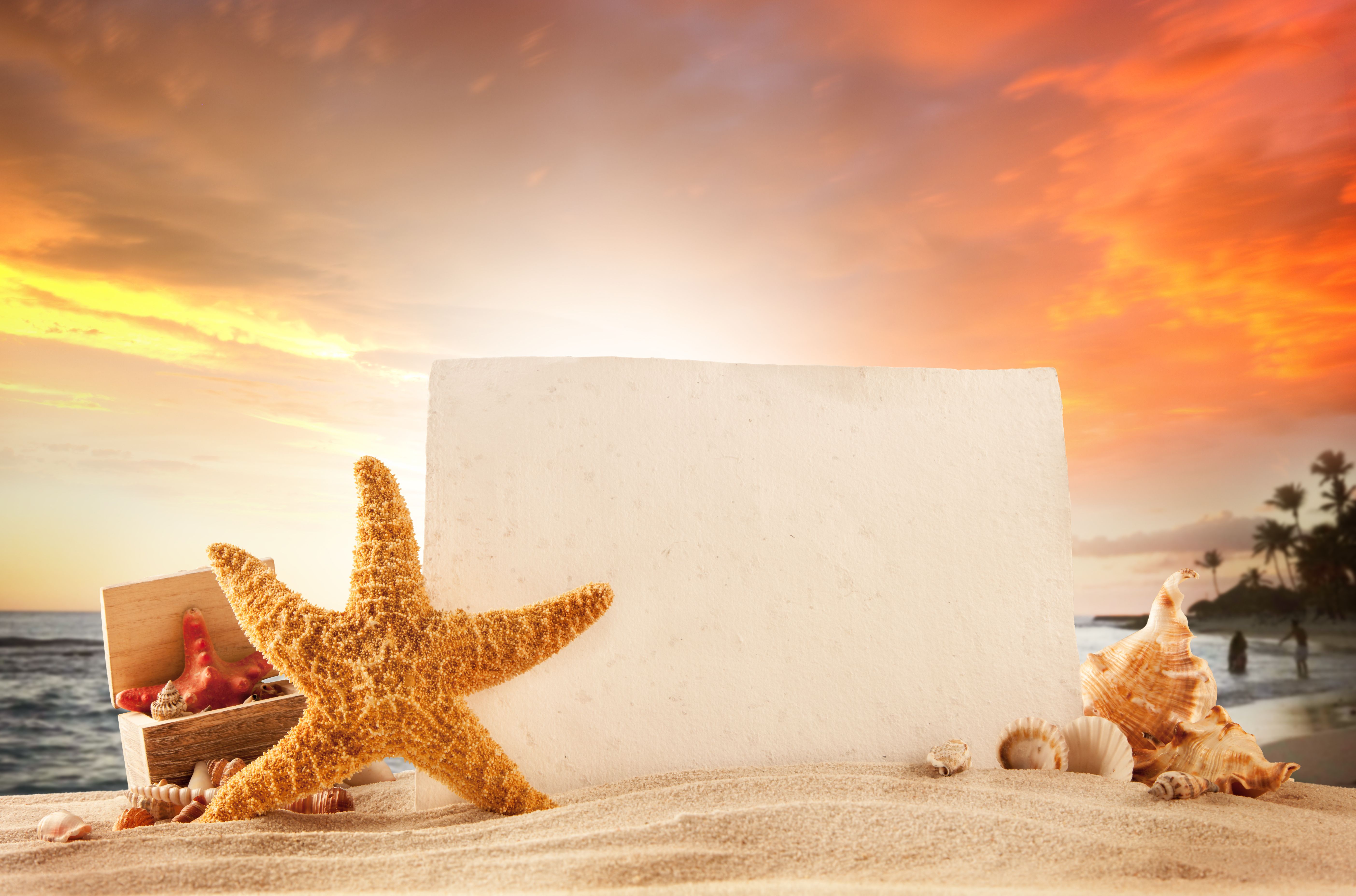 Sand Castles On Beach Wallpapers on WallpaperDog