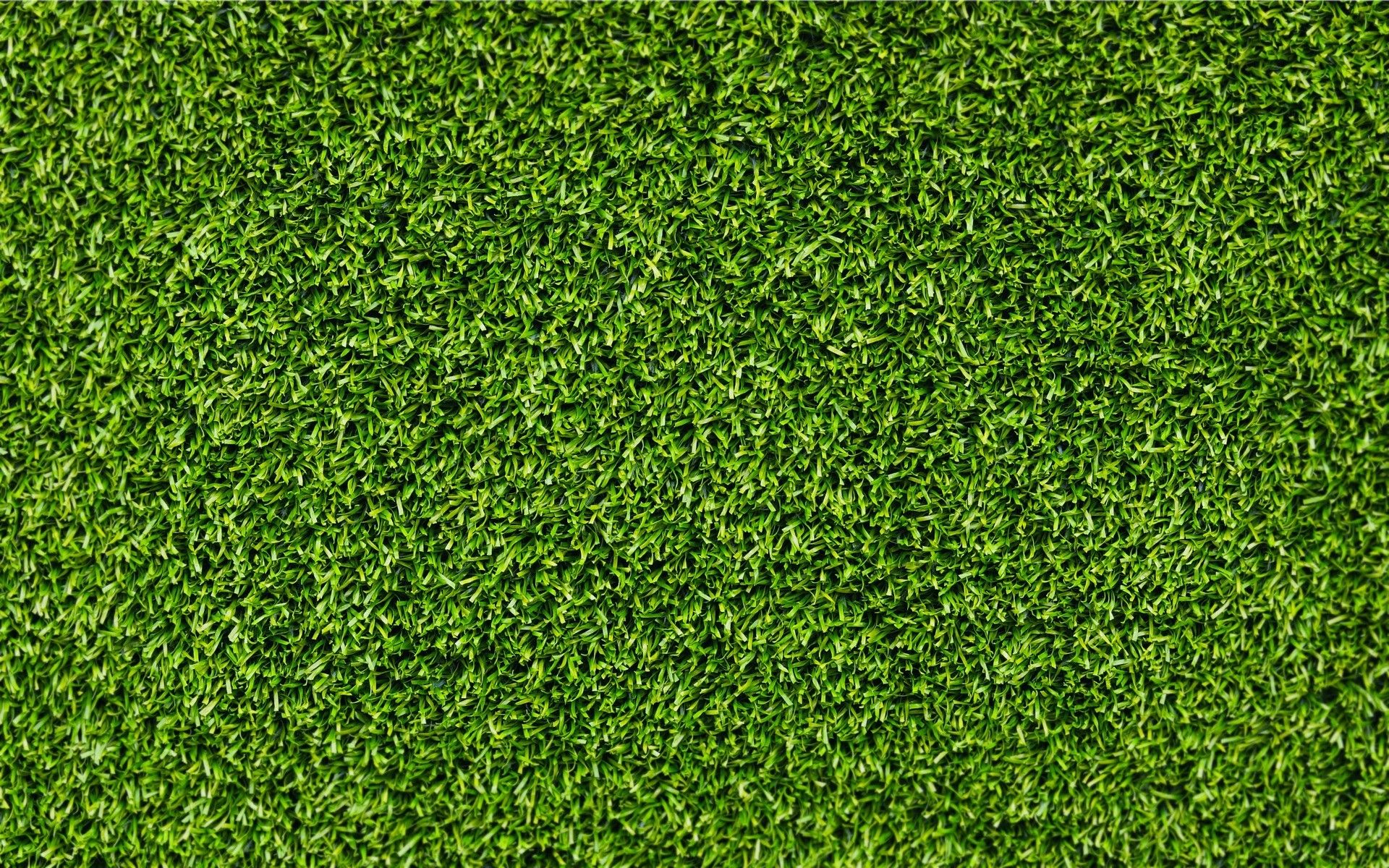 Aesthetic Grass Desktop Wallpapers on WallpaperDog