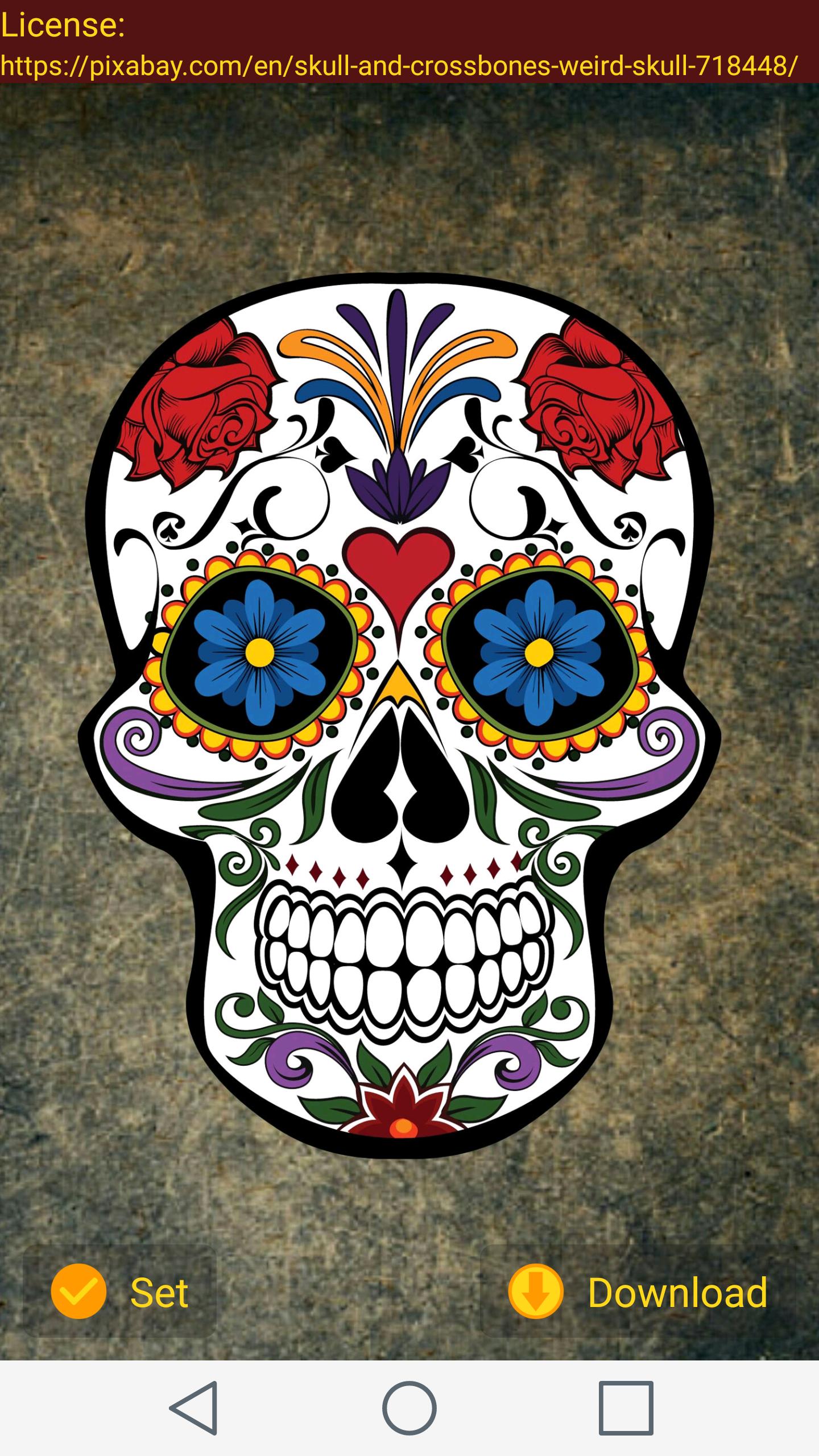 Day of the dead celebrations HD wallpapers  Pxfuel