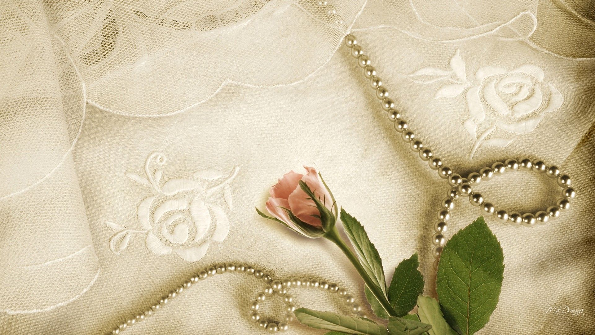 Lace and Roses Wallpapers on WallpaperDog