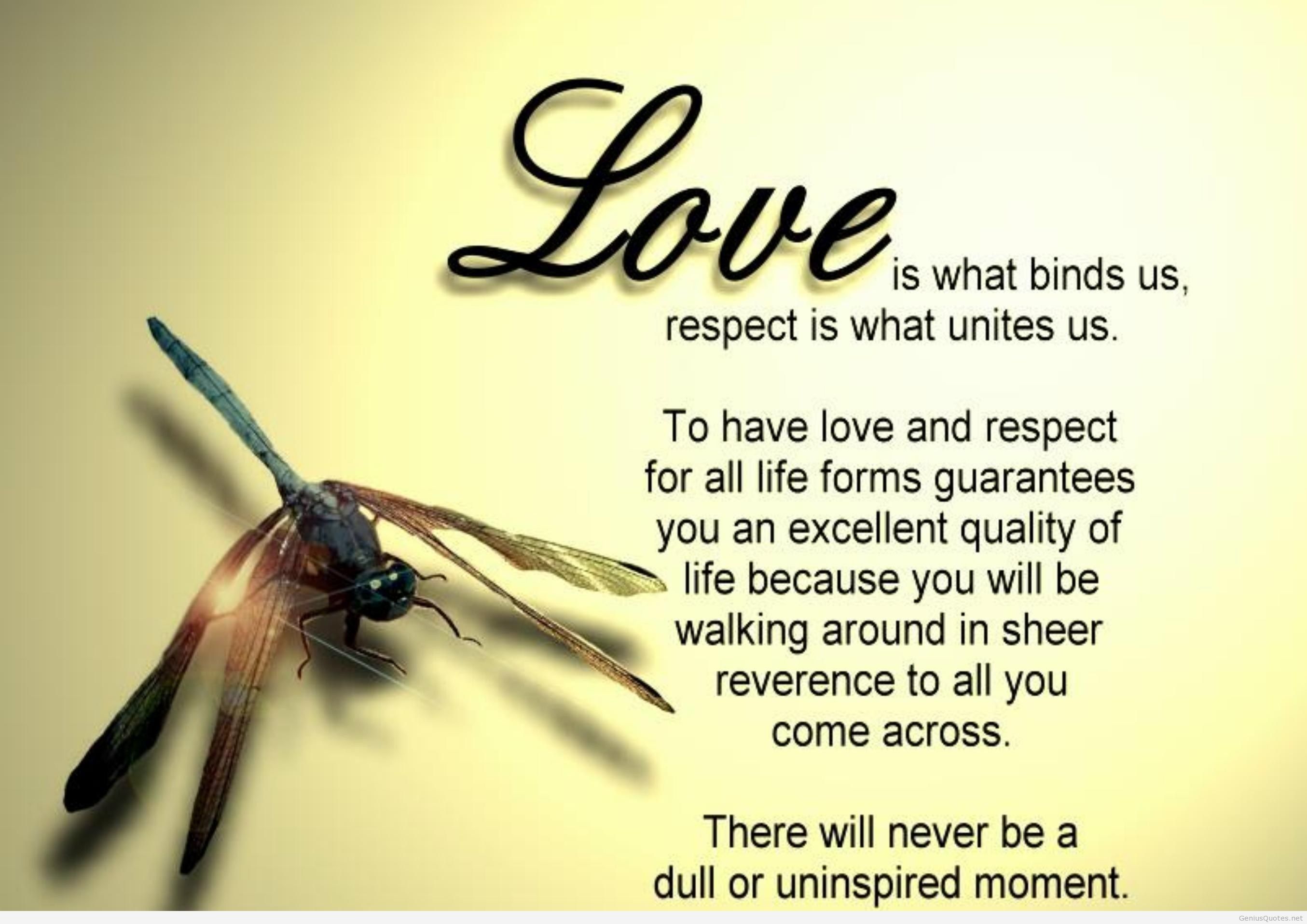 Romantic Love Quotes Wallpapers on WallpaperDog