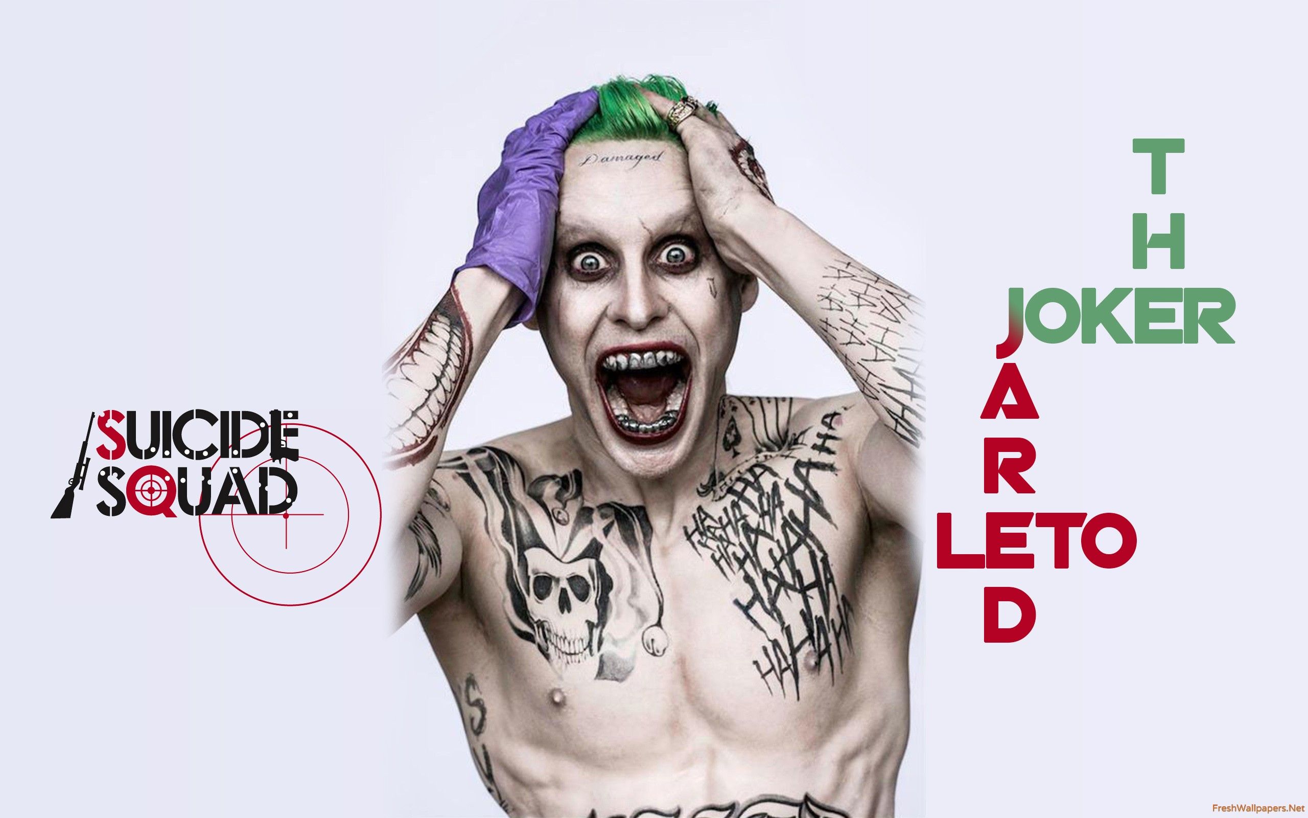 Joker Suicide Squad Wallpapers on WallpaperDog