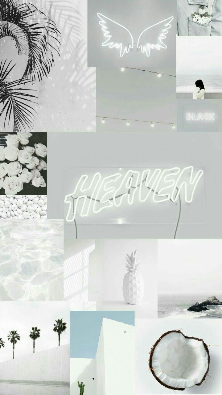 Aesthetic White iPhone Wallpaper  PixelsTalkNet