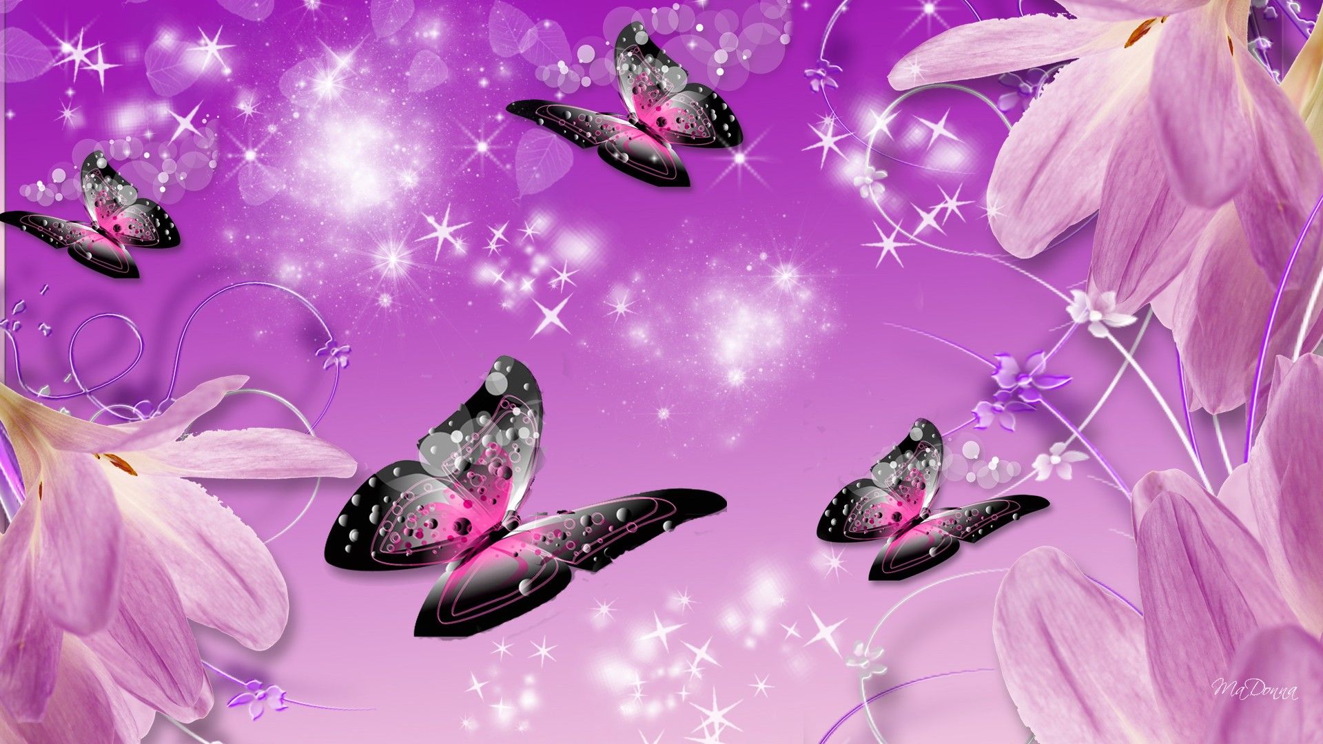 Purple Butterflies Wallpapers on WallpaperDog
