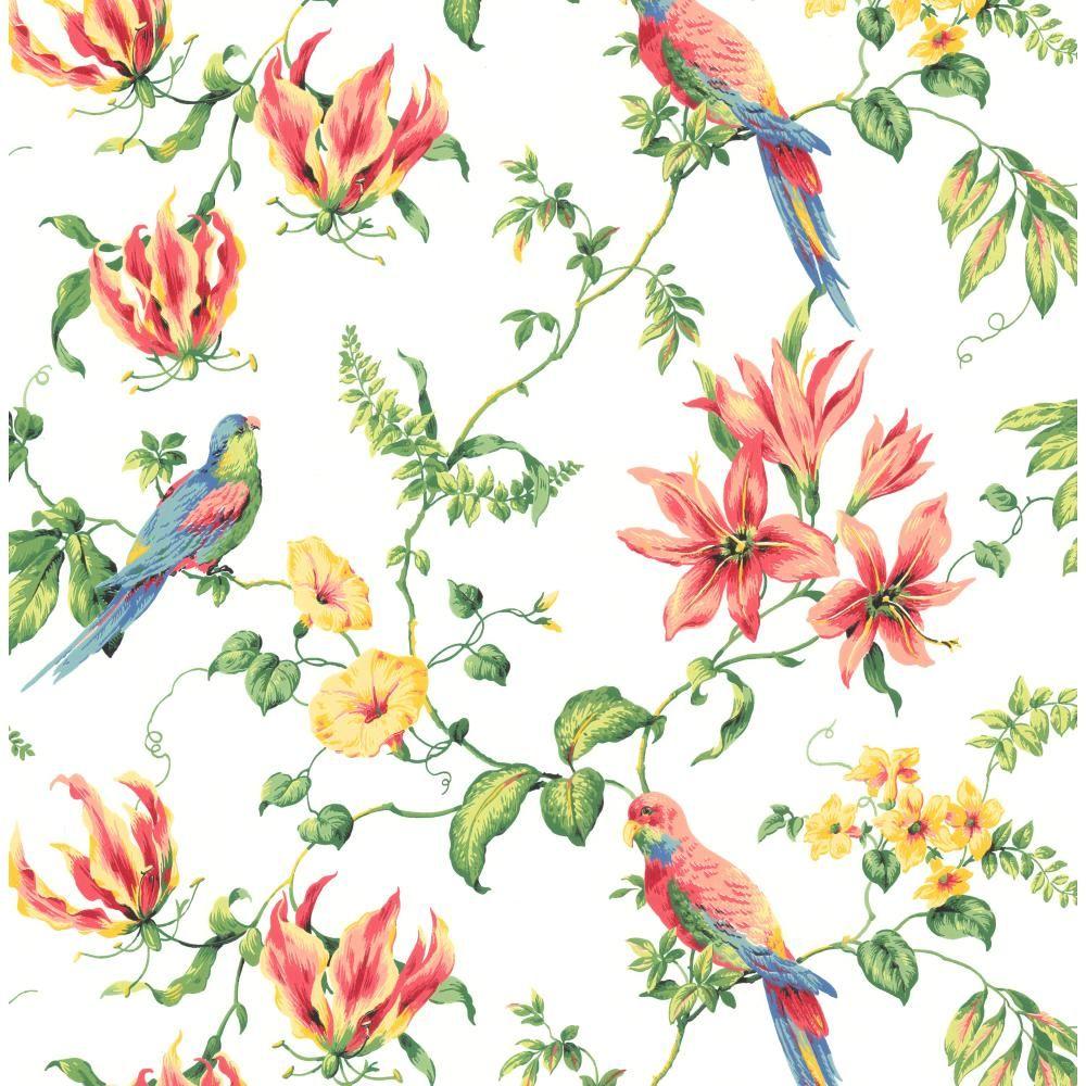 Norwall Floral Bird Sidewall Vinyl Roll Wallpaper Covers 56 sq ft  HM26326  The Home Depot