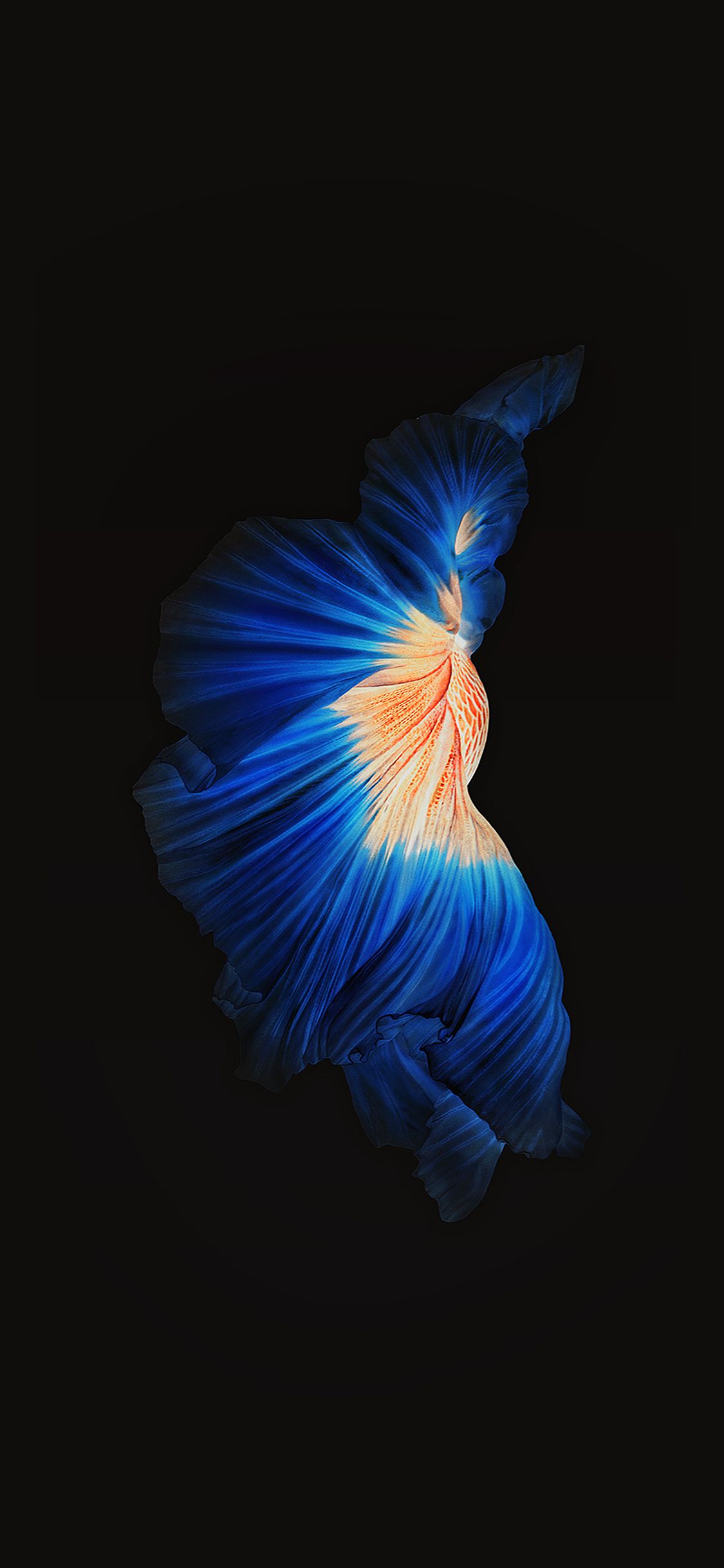 Apple iPhone XR Wallpapers on WallpaperDog