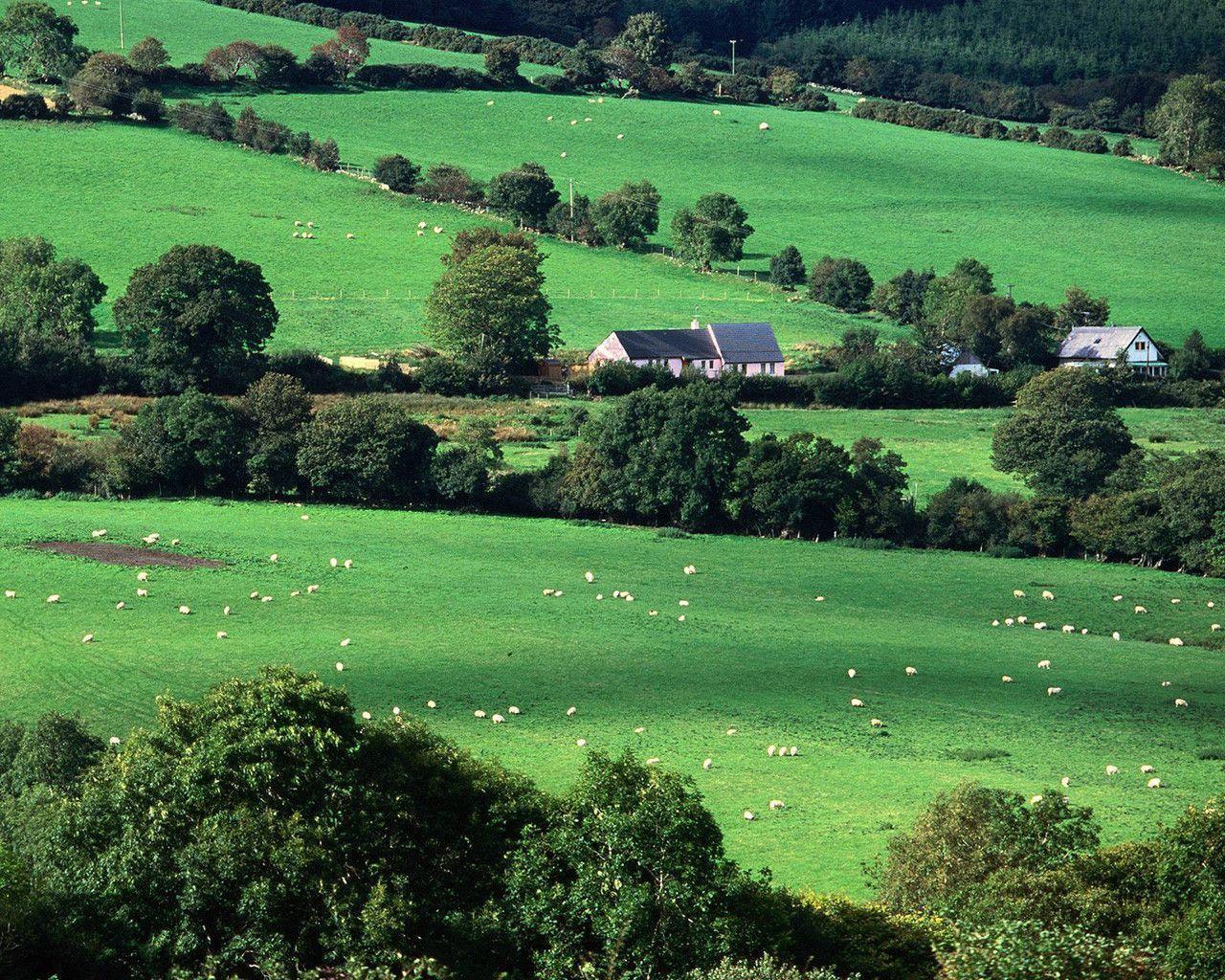 Irish Countryside Wallpapers On Wallpaperdog