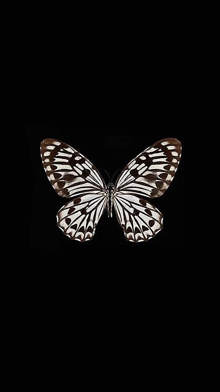 5 Butterfly wallpaper background designs for phone I Take You  Wedding  Readings  Wedding Ideas  Wedding Dresses  Wedding Theme