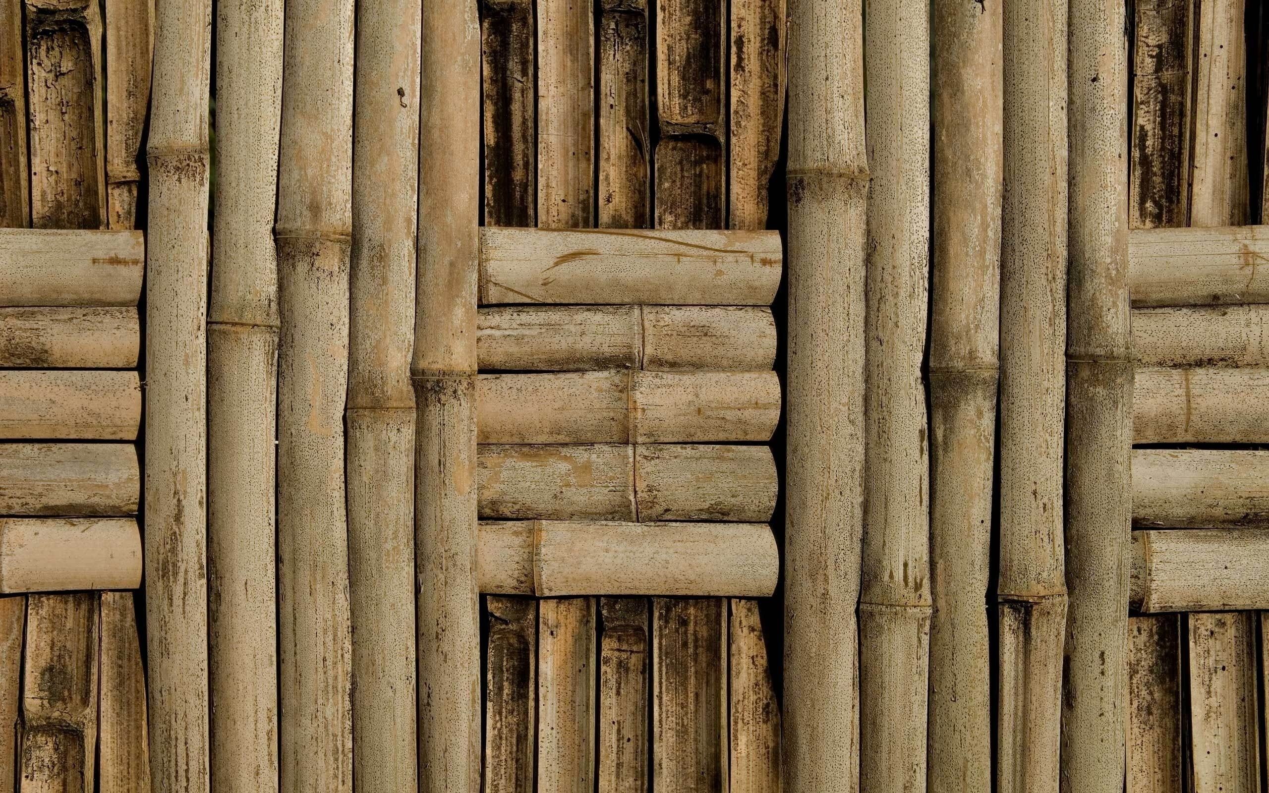 G67940 Bamboo Wallpaper