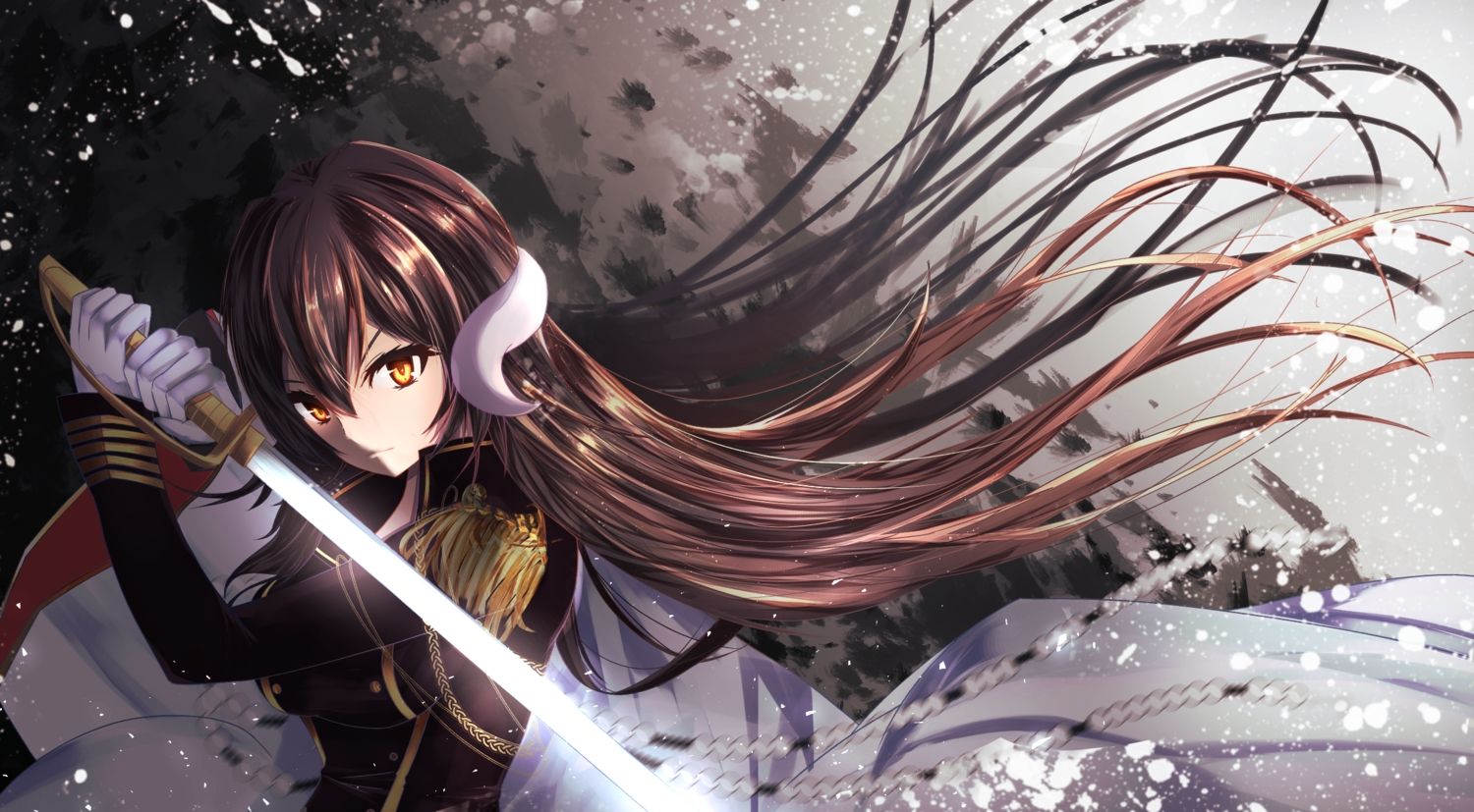 Mikasa Long Hair Wallpapers on WallpaperDog