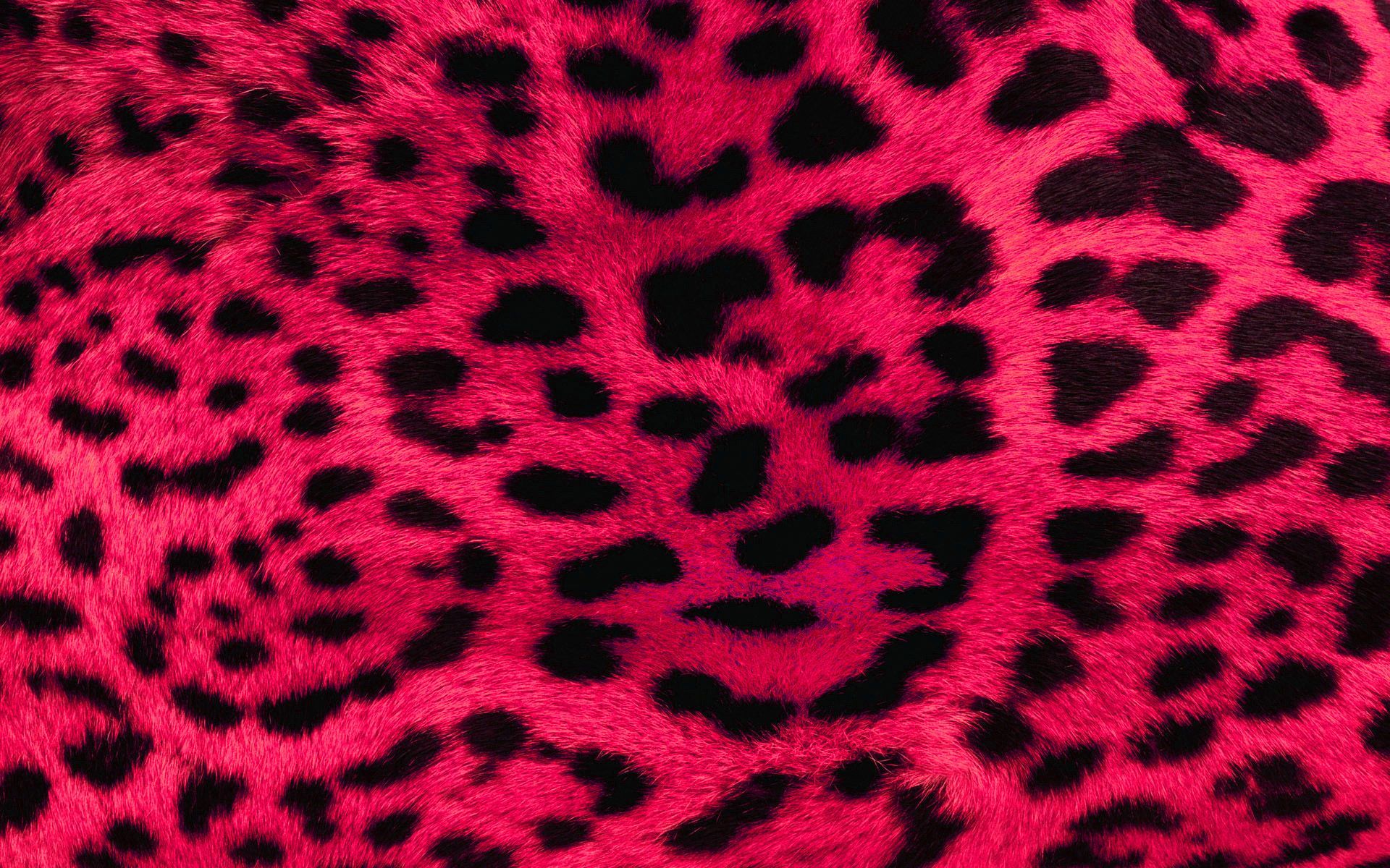hot pink leopard print  Preppy wallpaper Chanel wallpapers Wallpaper