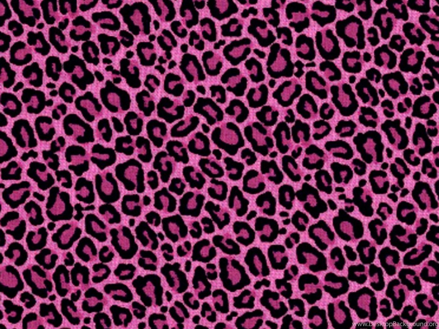 leopard print bicycle  Cheetah print wallpaper Leopard print wallpaper Leopard  print background