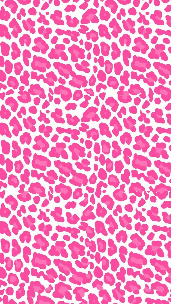Cheetah print HD wallpapers  Pxfuel