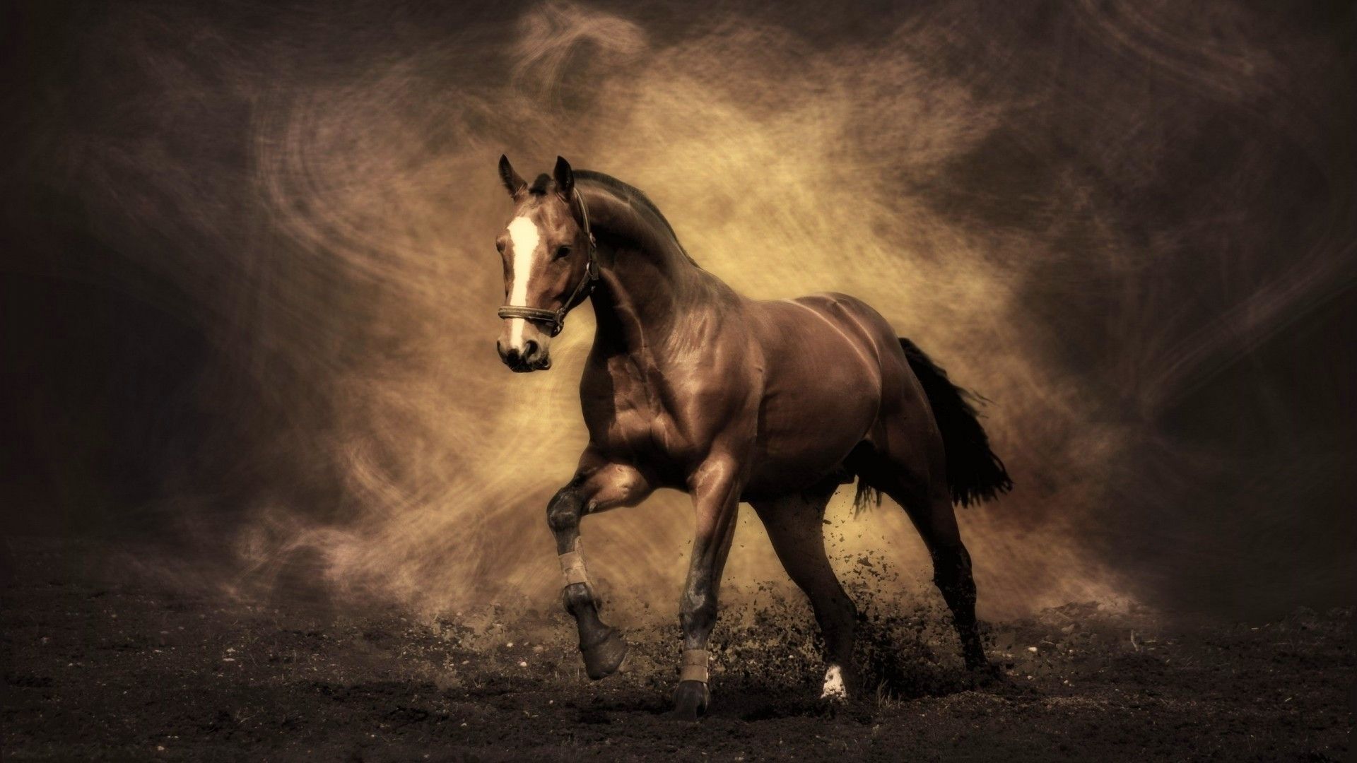 White, Horses, Freedom, Grass, Dust, Sky (5769x4377) - Desktop & Mobile  Wallpaper