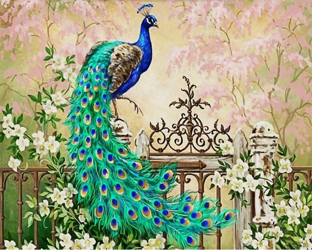 Peacock Wallpaper Iphone Online - www.escapeslacumbre.es 1693598187
